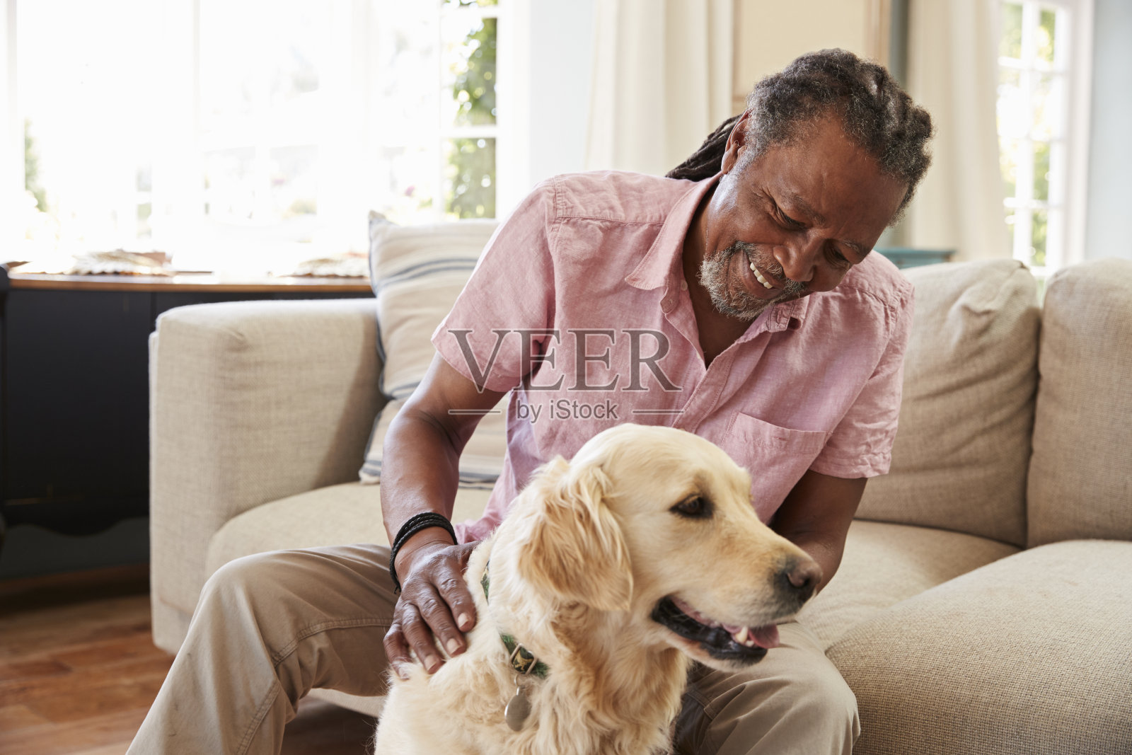 一位老人和宠物拉布拉多狗坐在家里的沙发上照片摄影图片