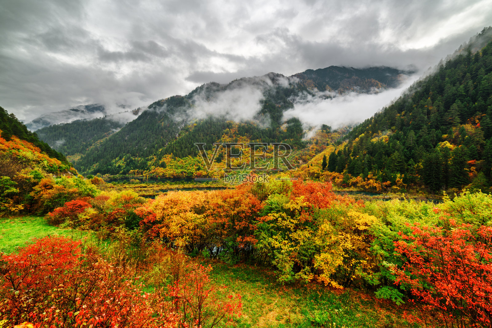 在雾和色彩斑斓的秋天森林中，可以看到树木繁茂的山照片摄影图片
