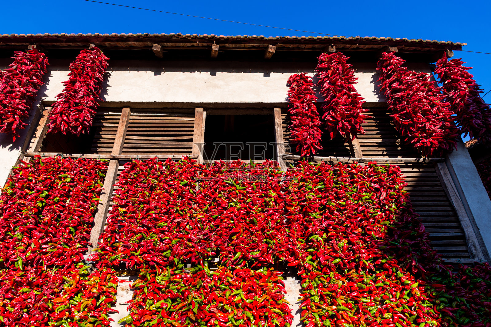 塞尔维亚Donja Lokosnica村的房子上晾着一串串红辣椒照片摄影图片