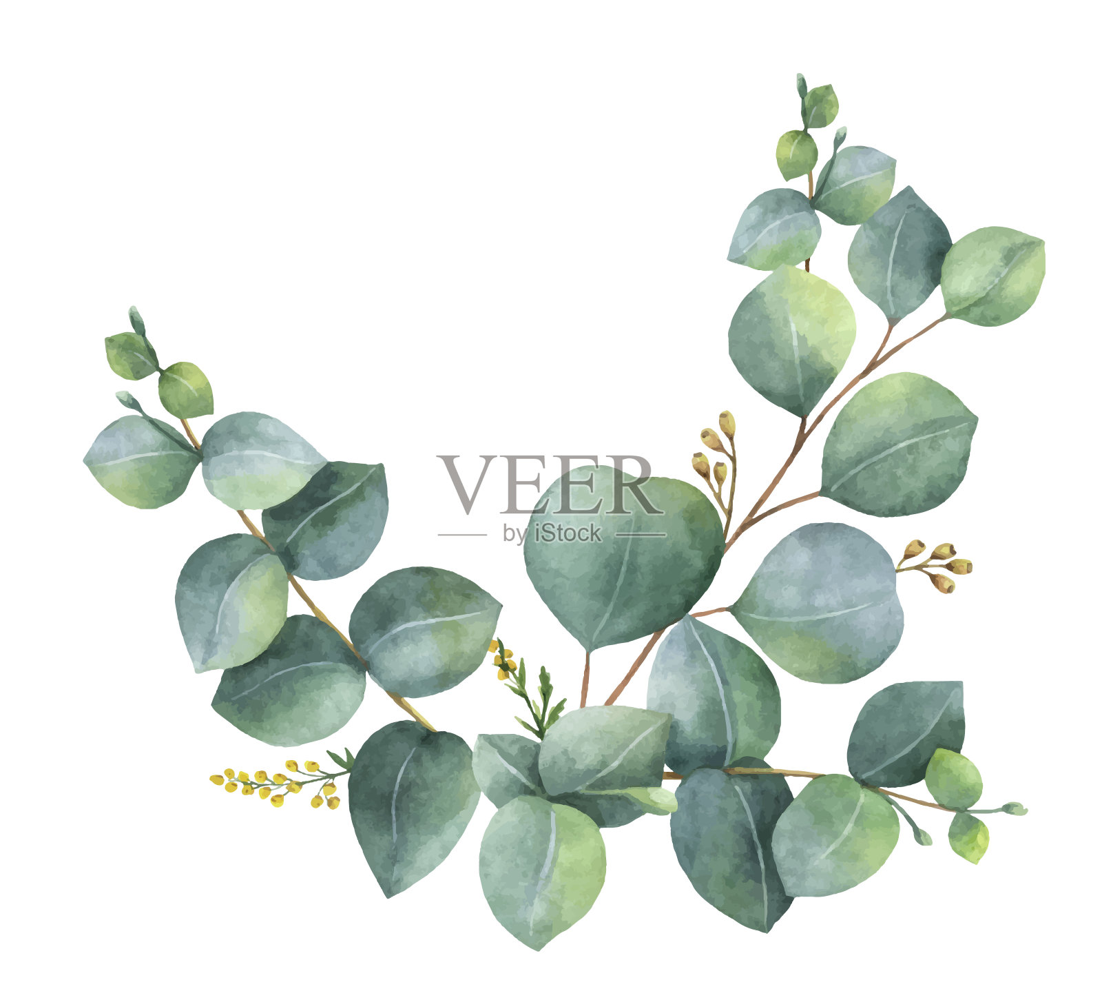水彩矢量花环与绿色的桉树叶和树枝。插画图片素材