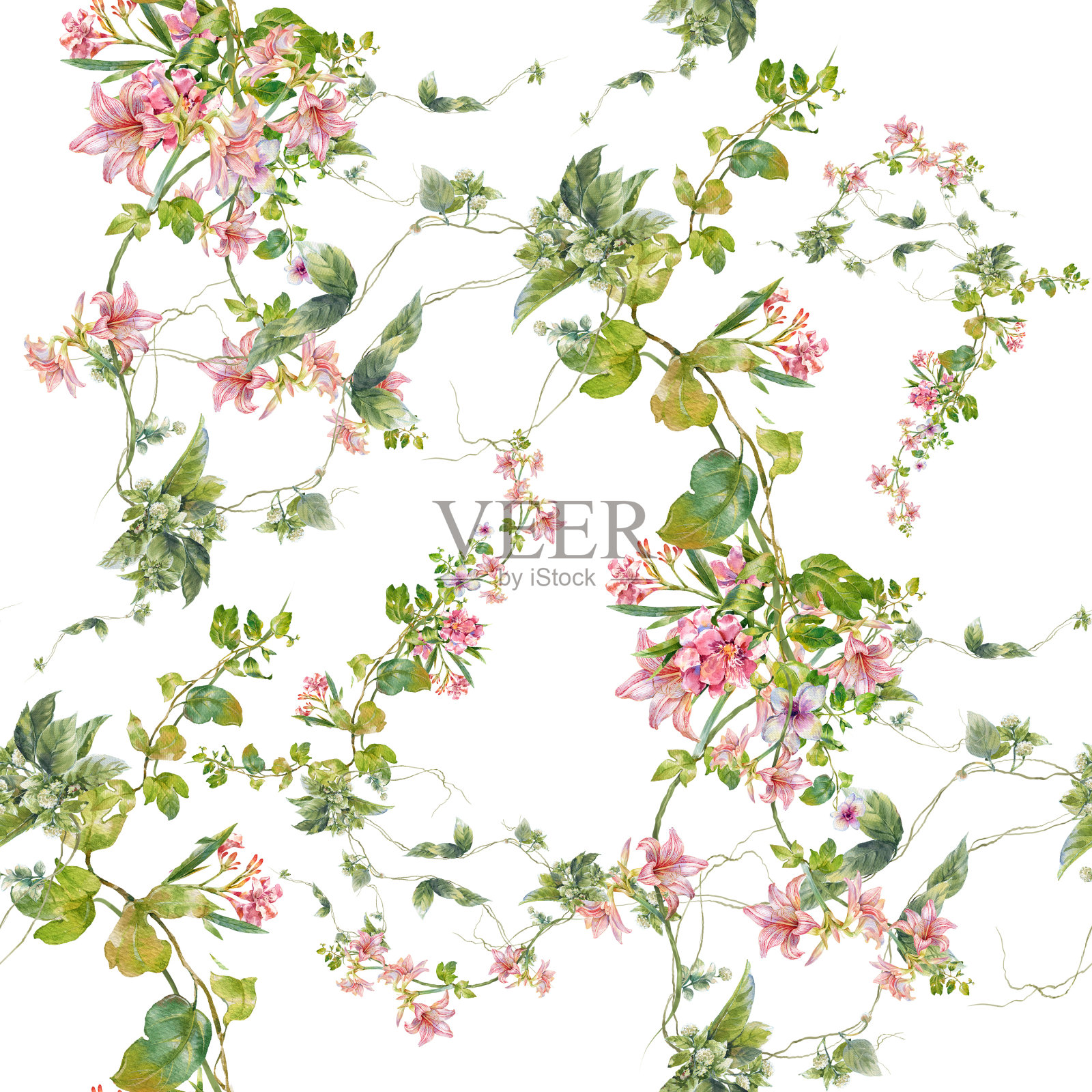 叶和花的水彩画，在白色的背景上无缝的图案插画图片素材