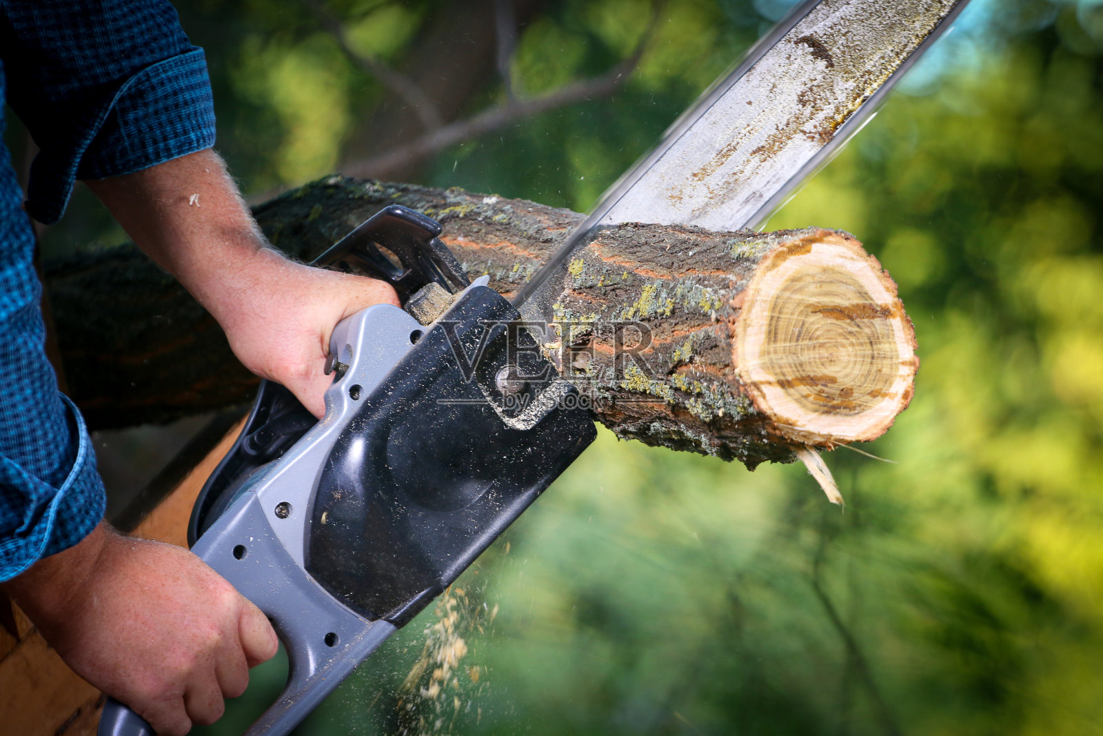 一个人用链锯砍树照片摄影图片