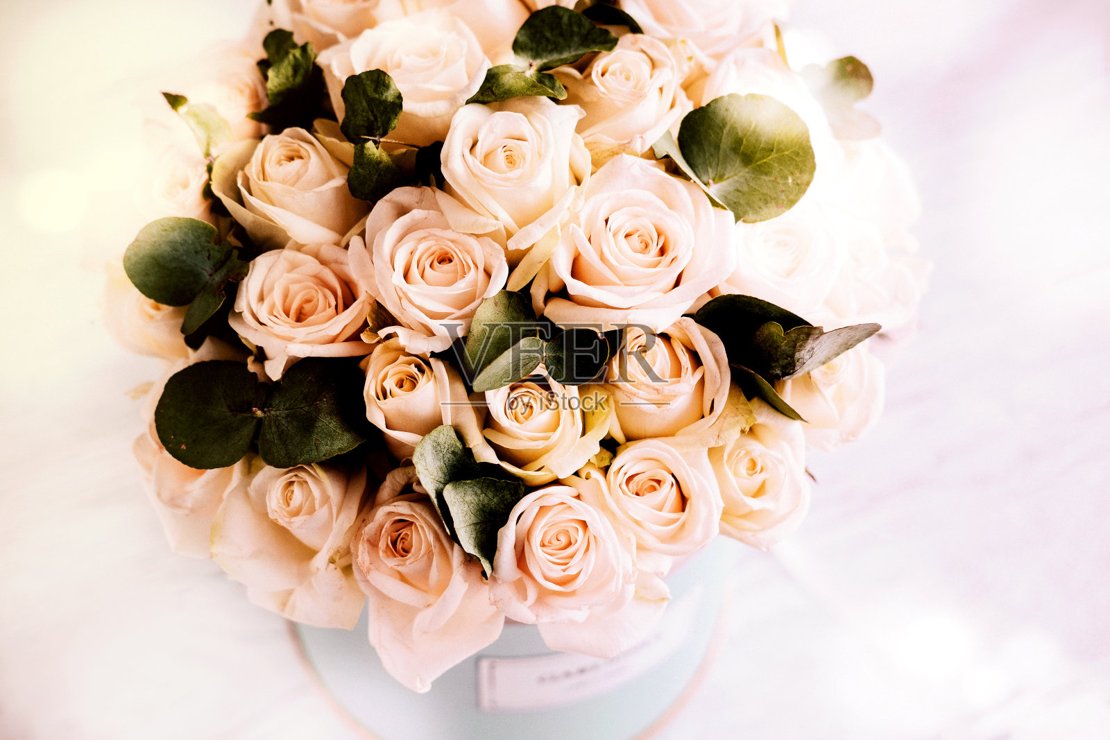 象牙玫瑰和桉树花盒照片摄影图片