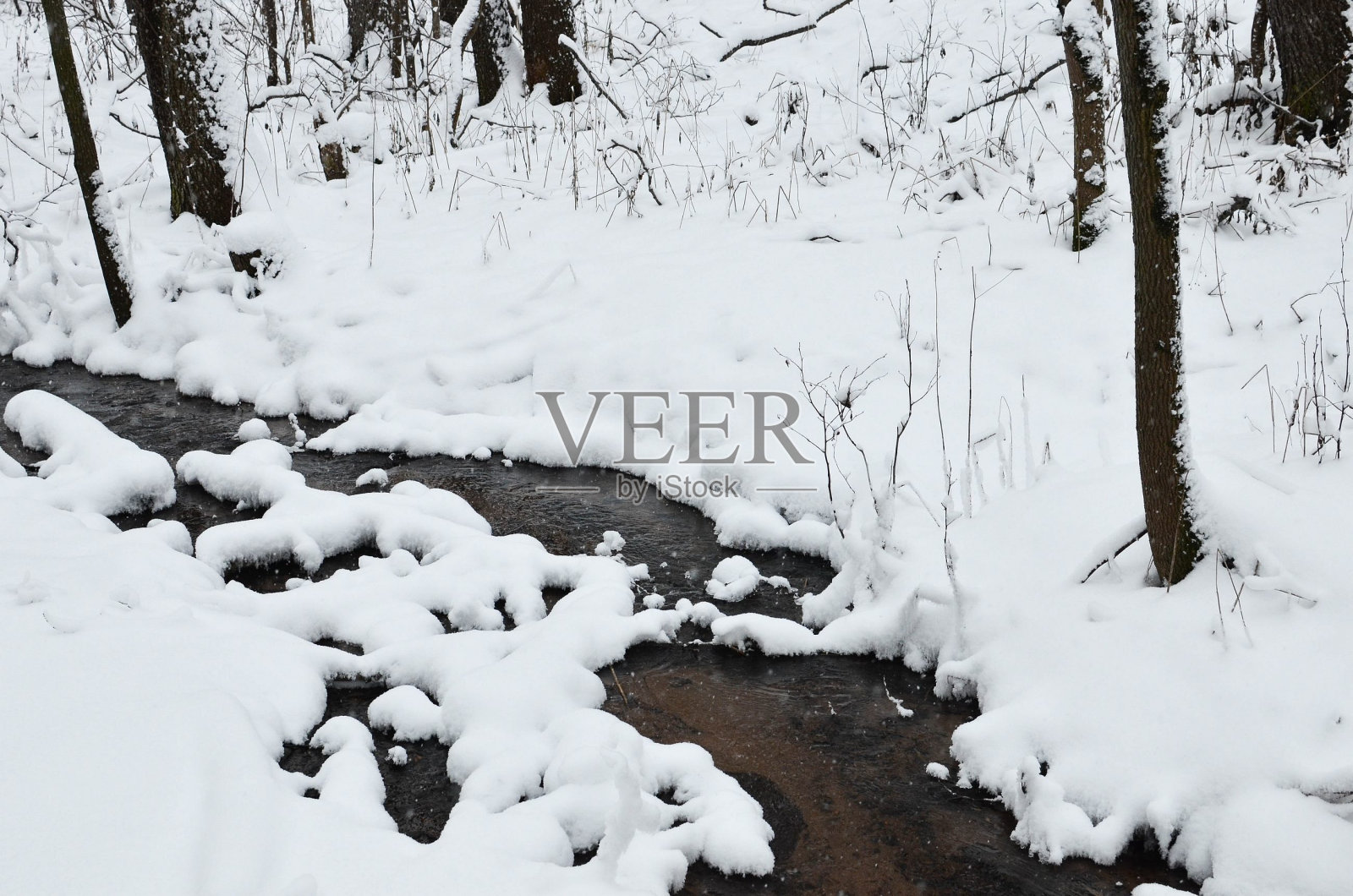小溪在白雪覆盖的森林里。庄园Karabiha。雅罗斯拉夫尔照片摄影图片
