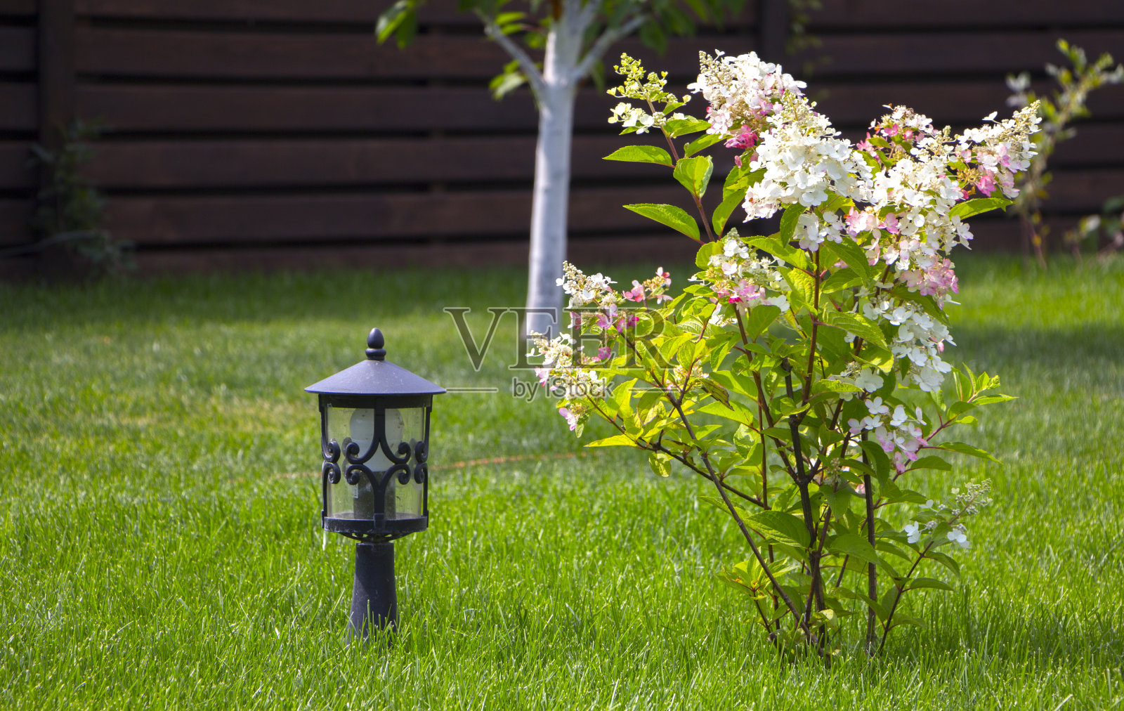 一盏中世纪制作的花园灯，放在有多汁的绿草的草坪上照片摄影图片