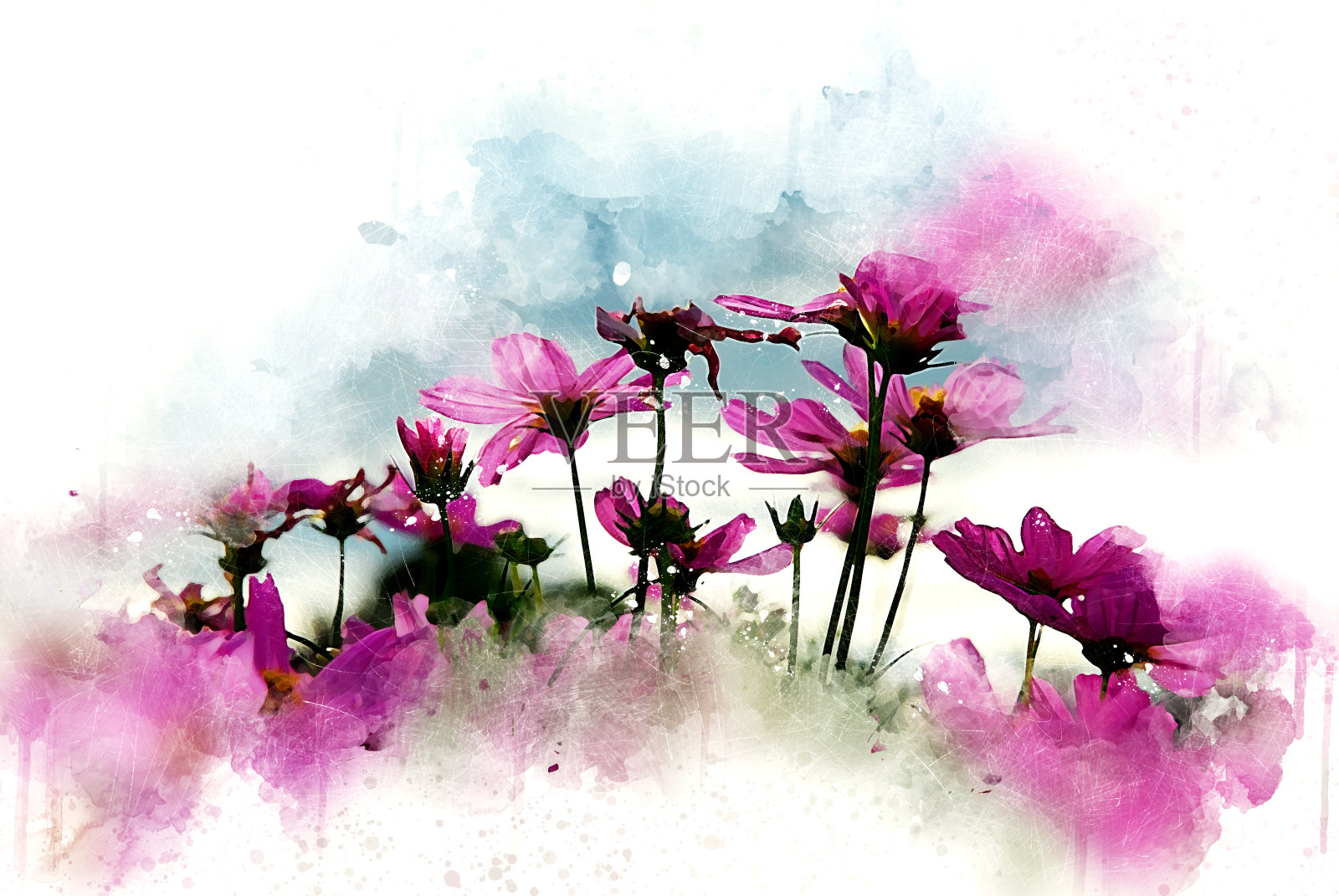 抽象的粉红色花朵盛开在彩色水彩画的背景和数字插图画笔艺术。插画图片素材