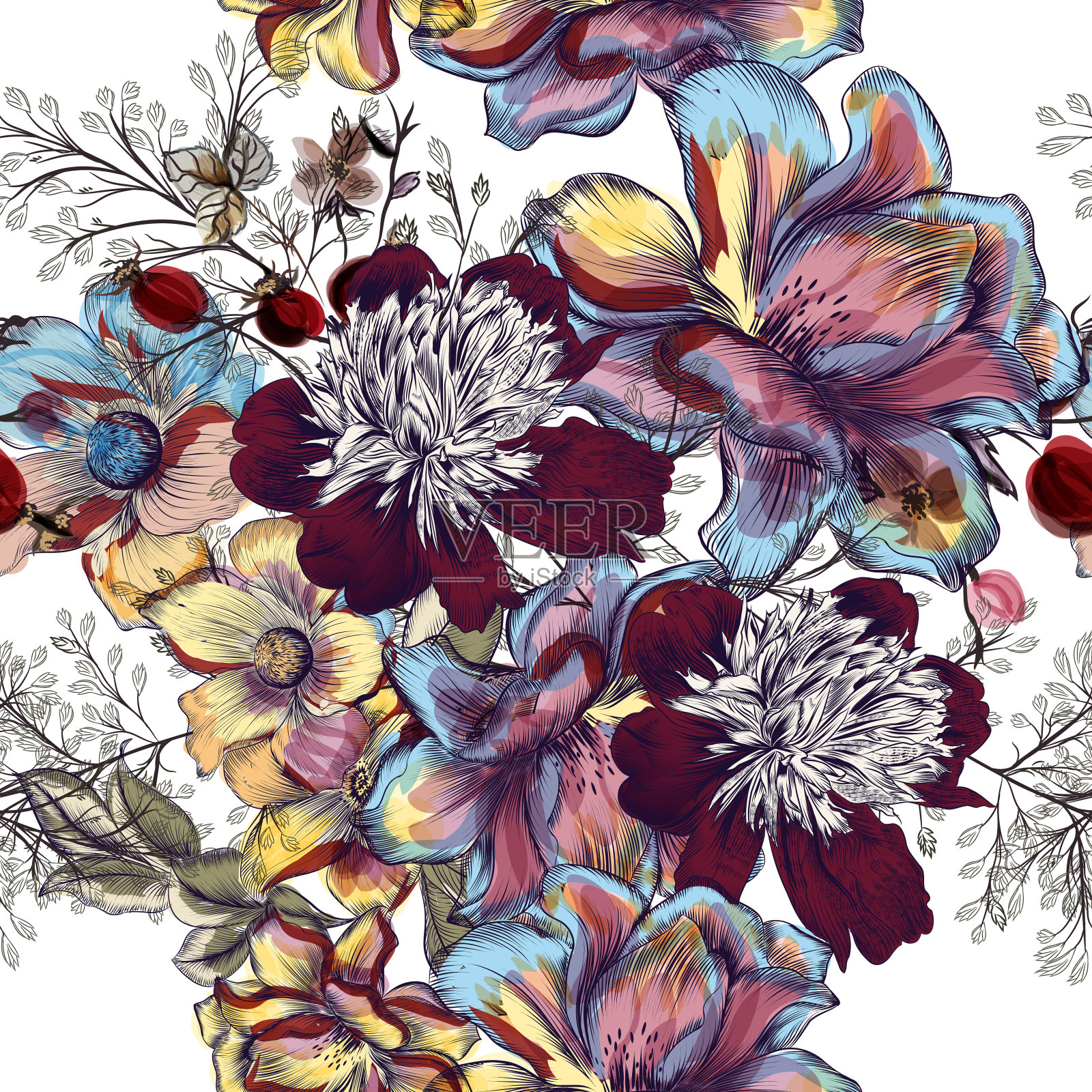 美丽的花卉矢量图案牡丹花，宇宙和田野草。水彩复古风格插画图片素材