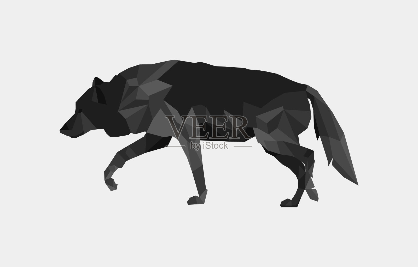 矢量插图:在白色背景下行走的灰狼的低多边形肖像。设计元素图片