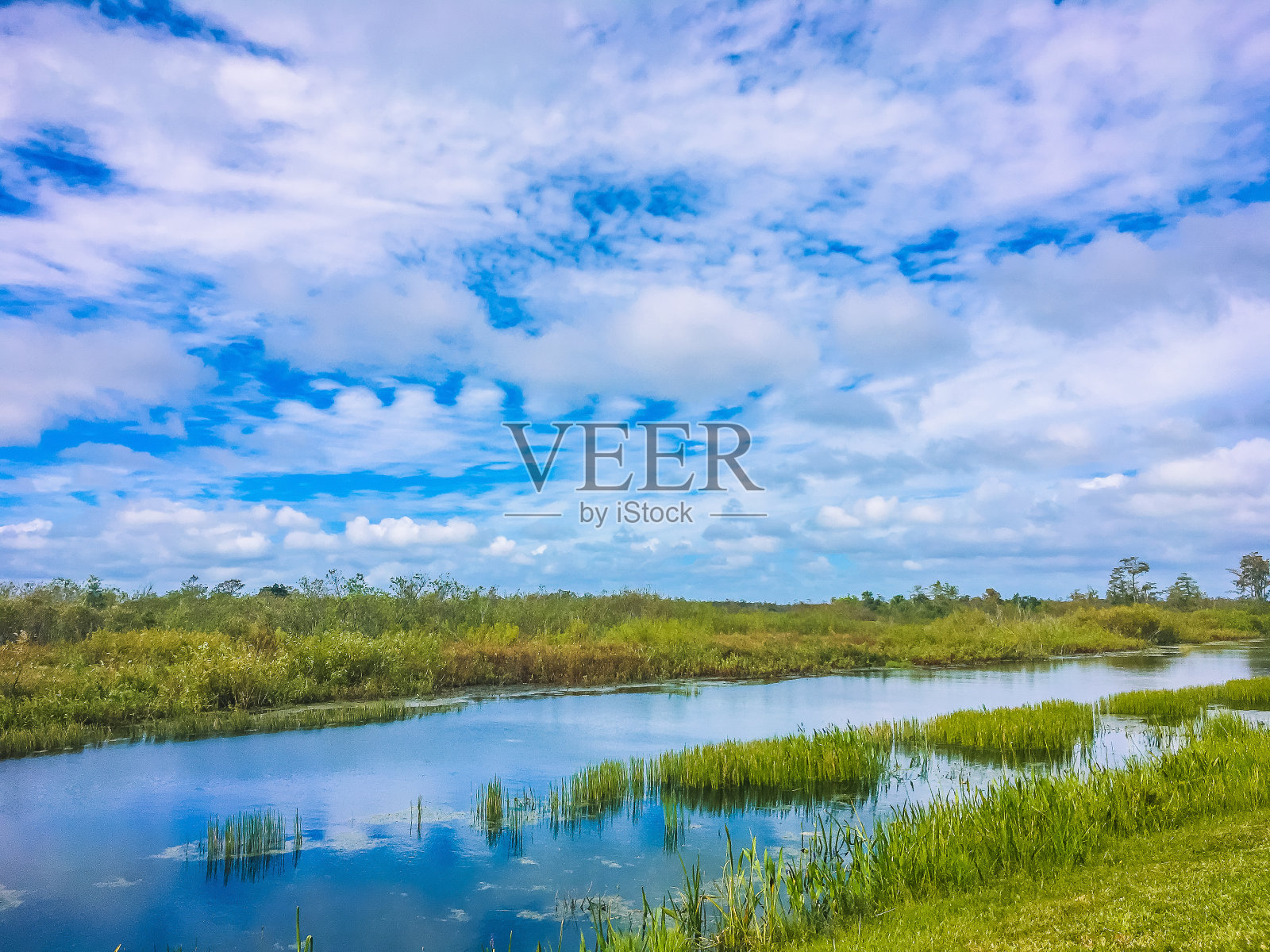 佛罗里达的沼泽和天空照片摄影图片
