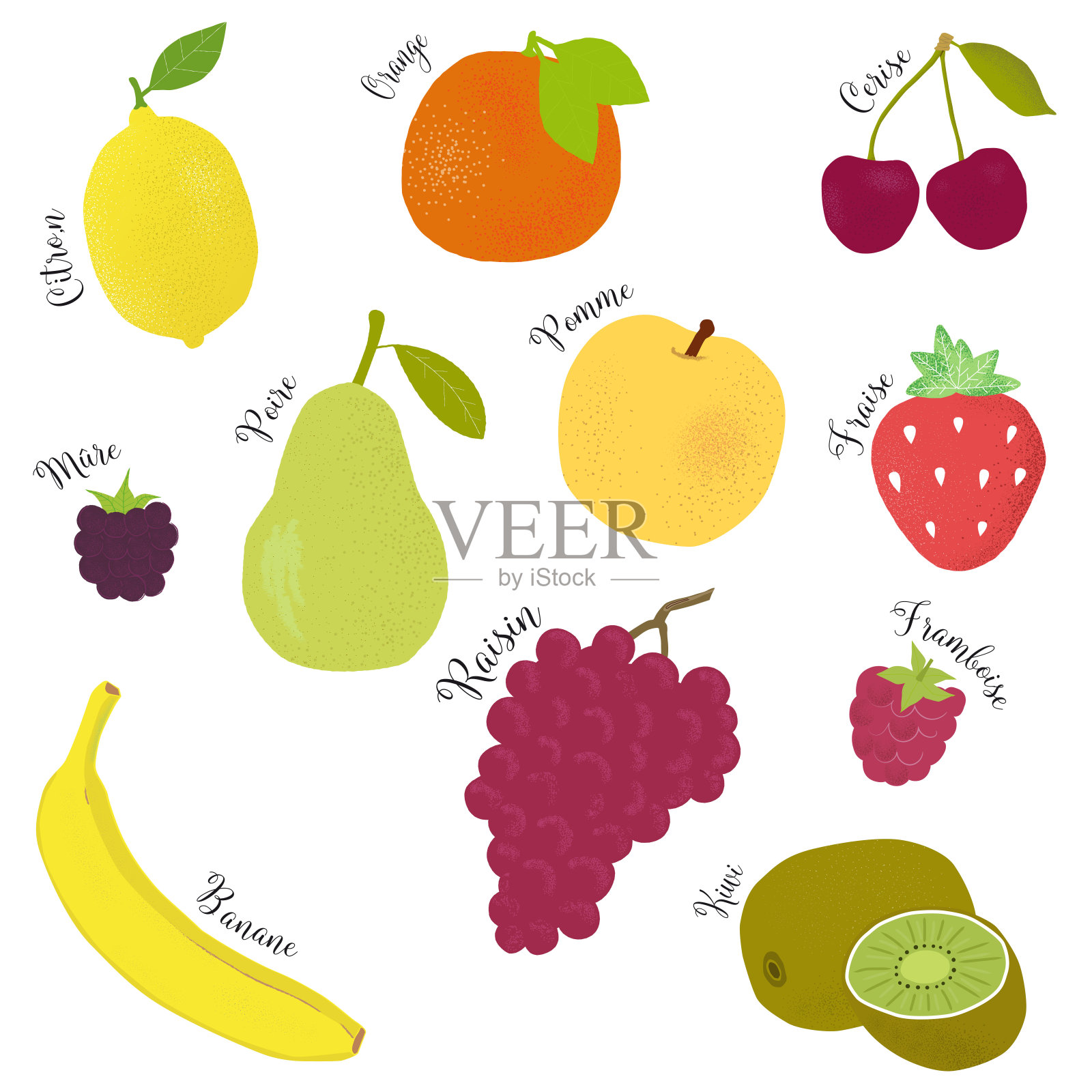 水果设置图标与法语文本设计元素图片