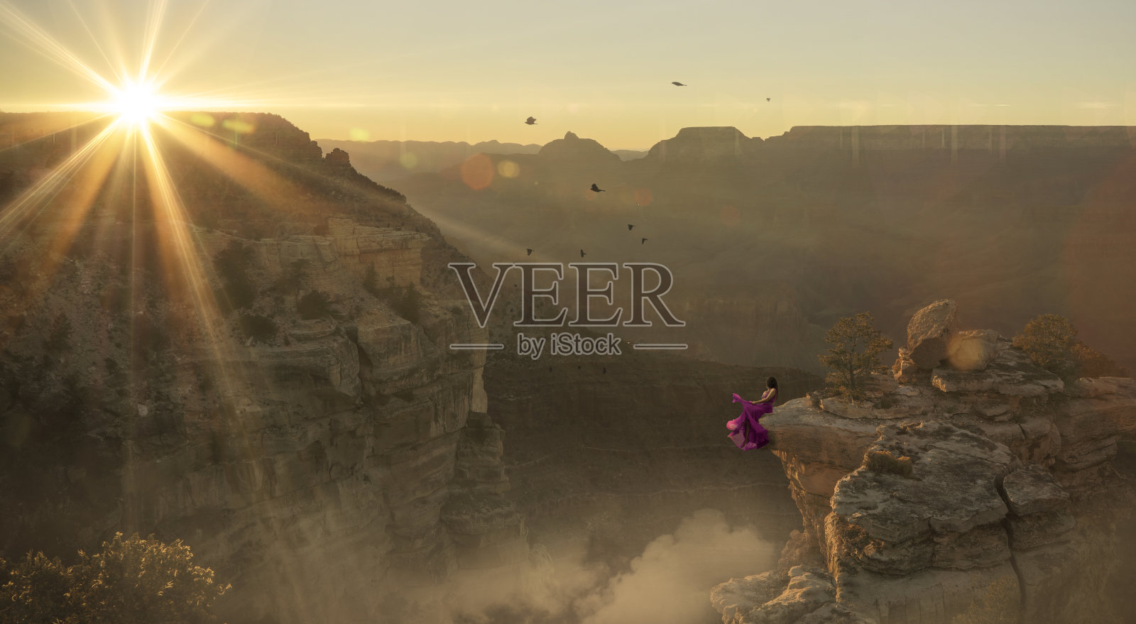 身着紫色裙子的女人坐在大峡谷的边缘照片摄影图片