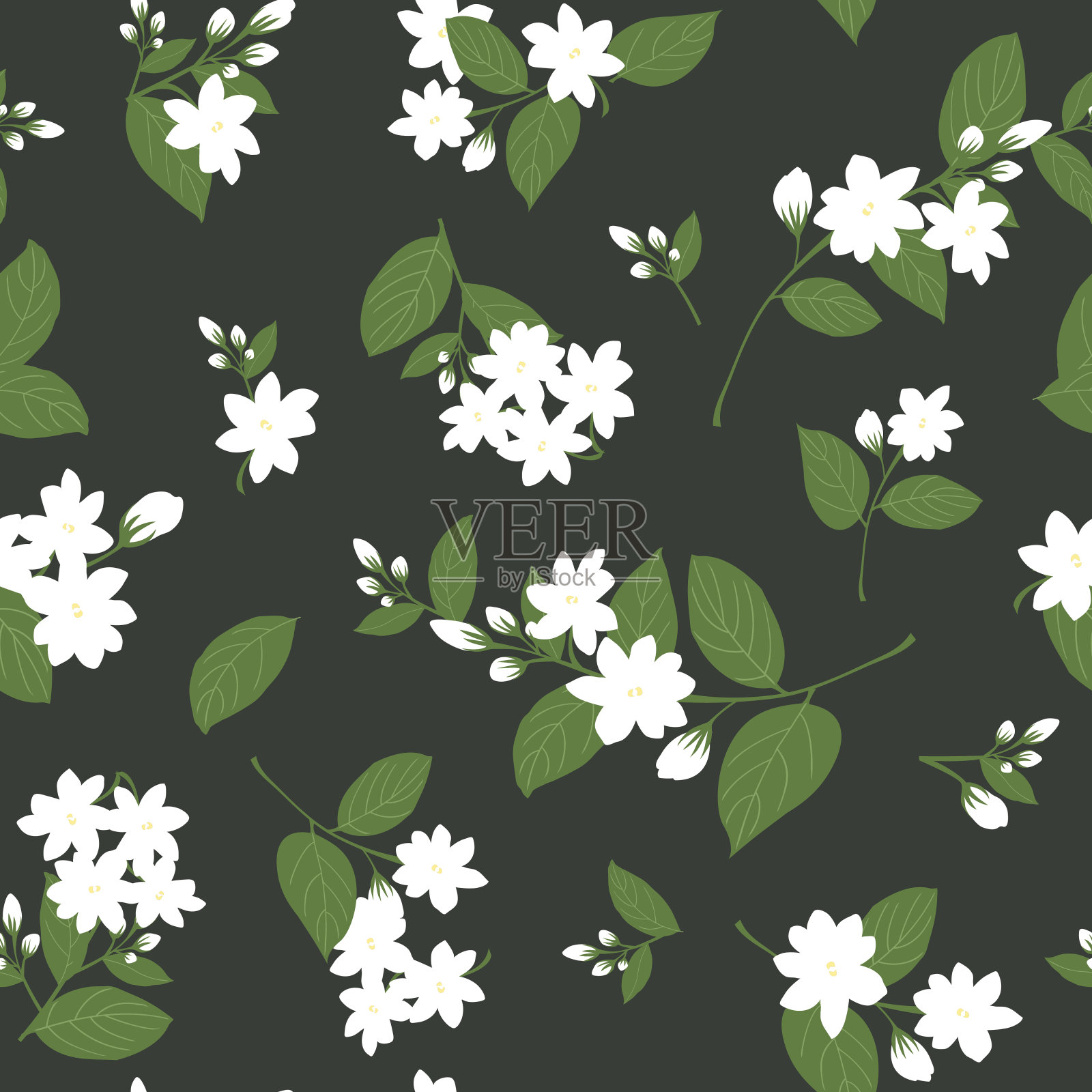 无缝白色茉莉与叶子在黑色的背景，花矢量插图插画图片素材