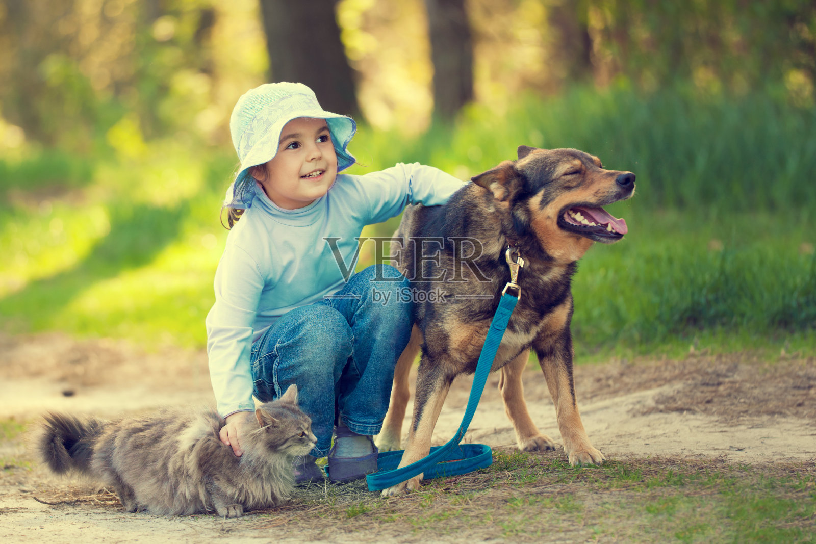 快乐的小女孩拥抱狗和猫在户外的森林在夏天照片摄影图片