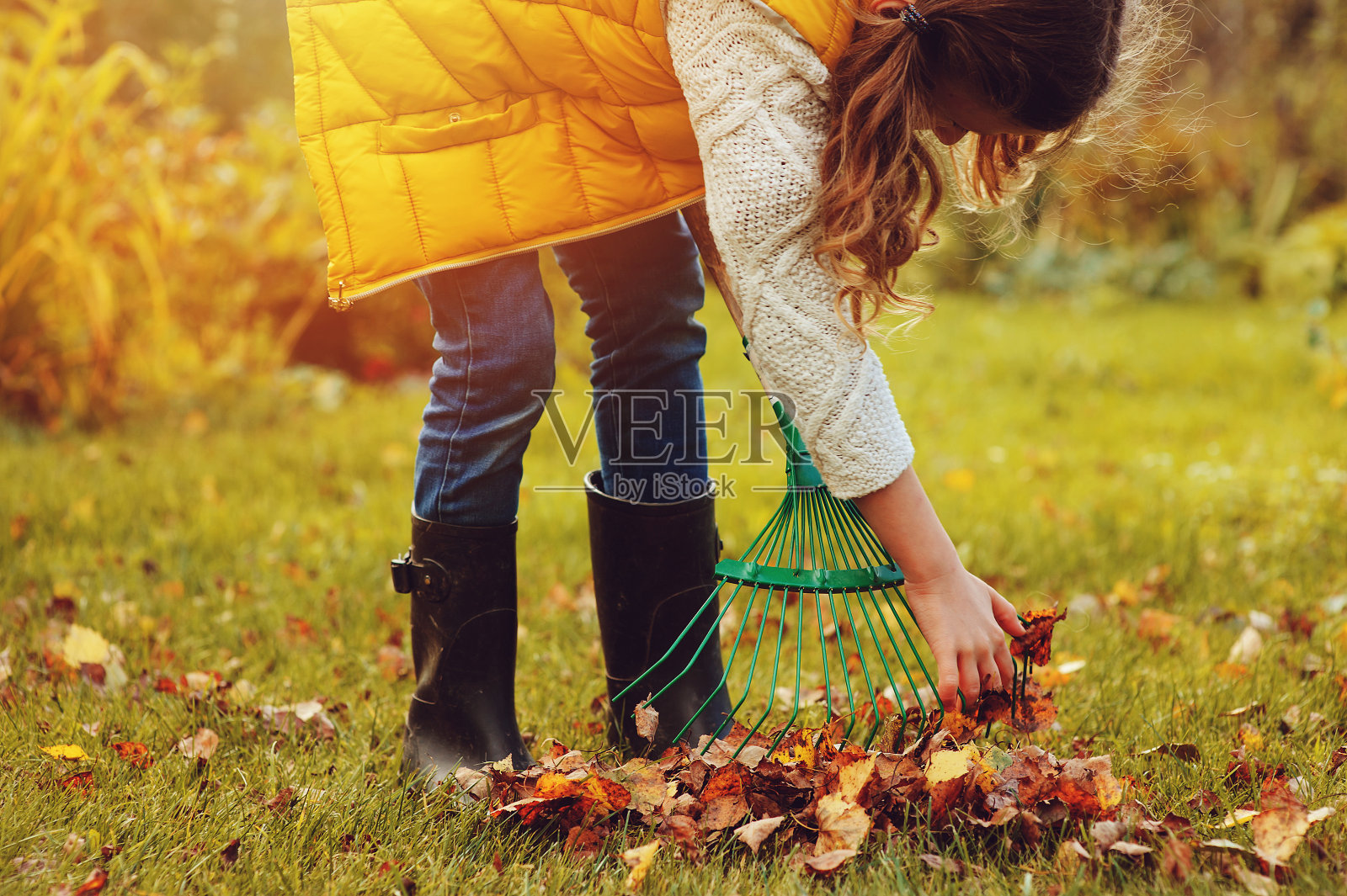 快乐的小女孩在秋天玩小园丁，摘树叶放进篮子里。季节性的花园工作。后院打扫。照片摄影图片