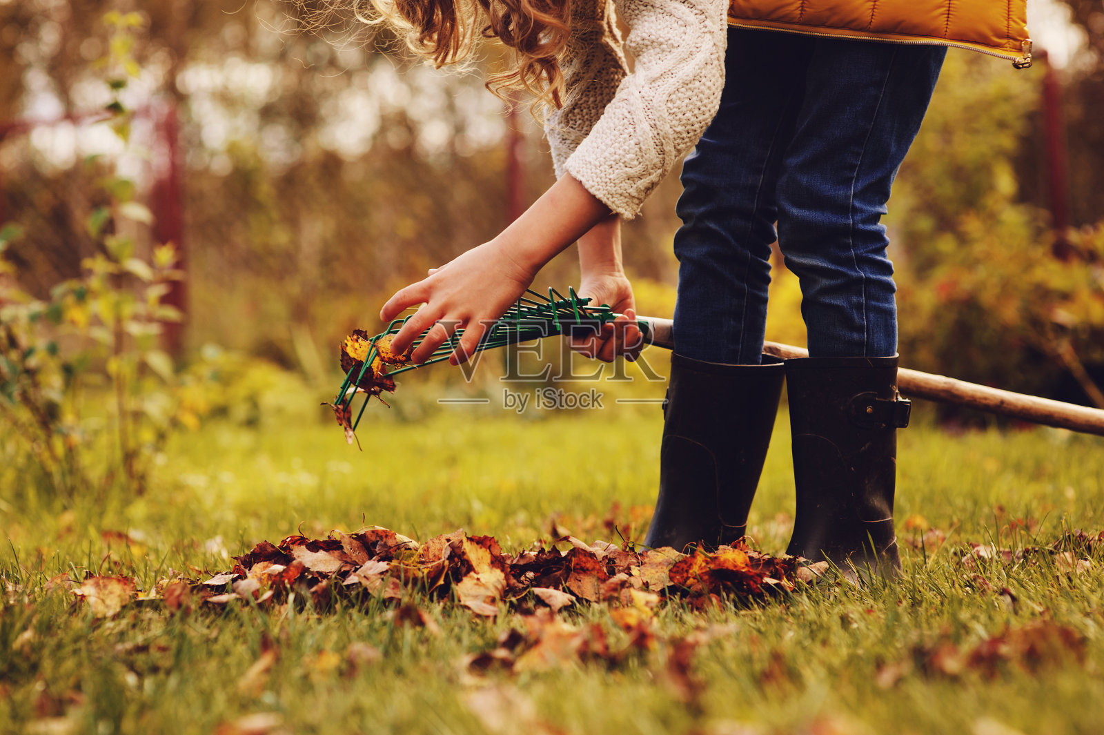 快乐的小女孩在秋天玩小园丁，摘树叶放进篮子里。季节性的花园工作。照片摄影图片