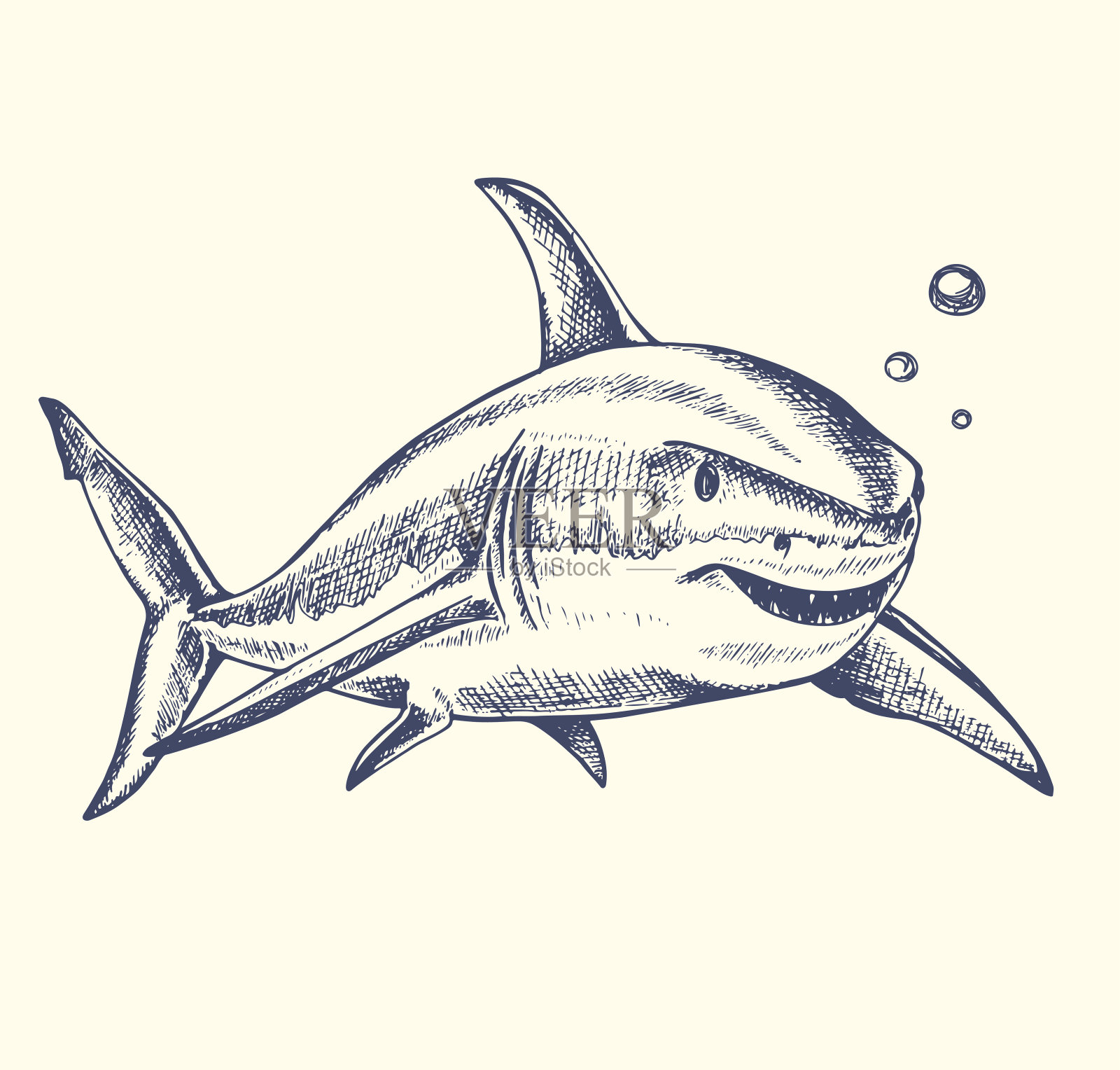 手绘鲨鱼插画图片素材
