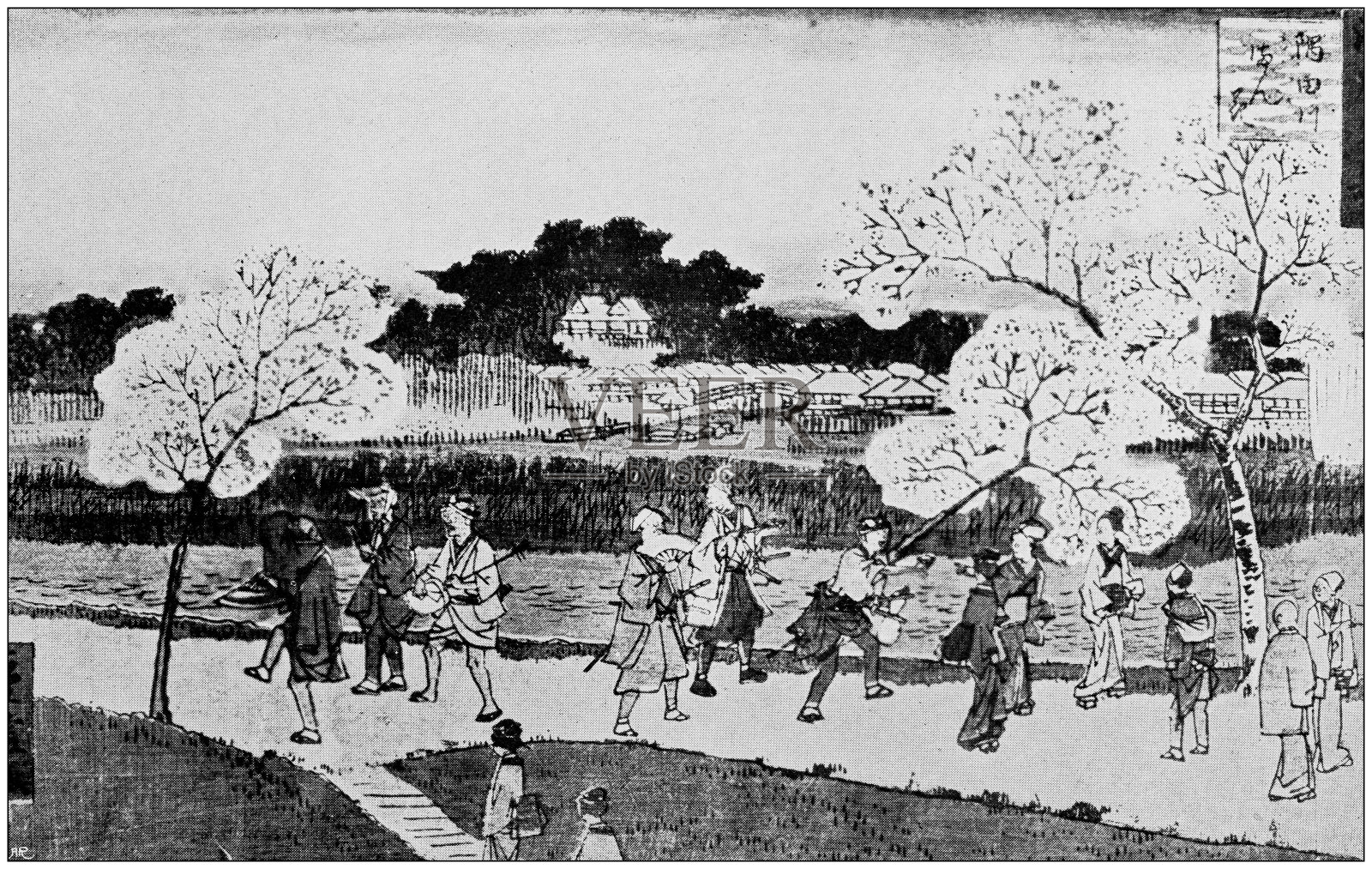 日本古董插画:信信的樱花插画图片素材