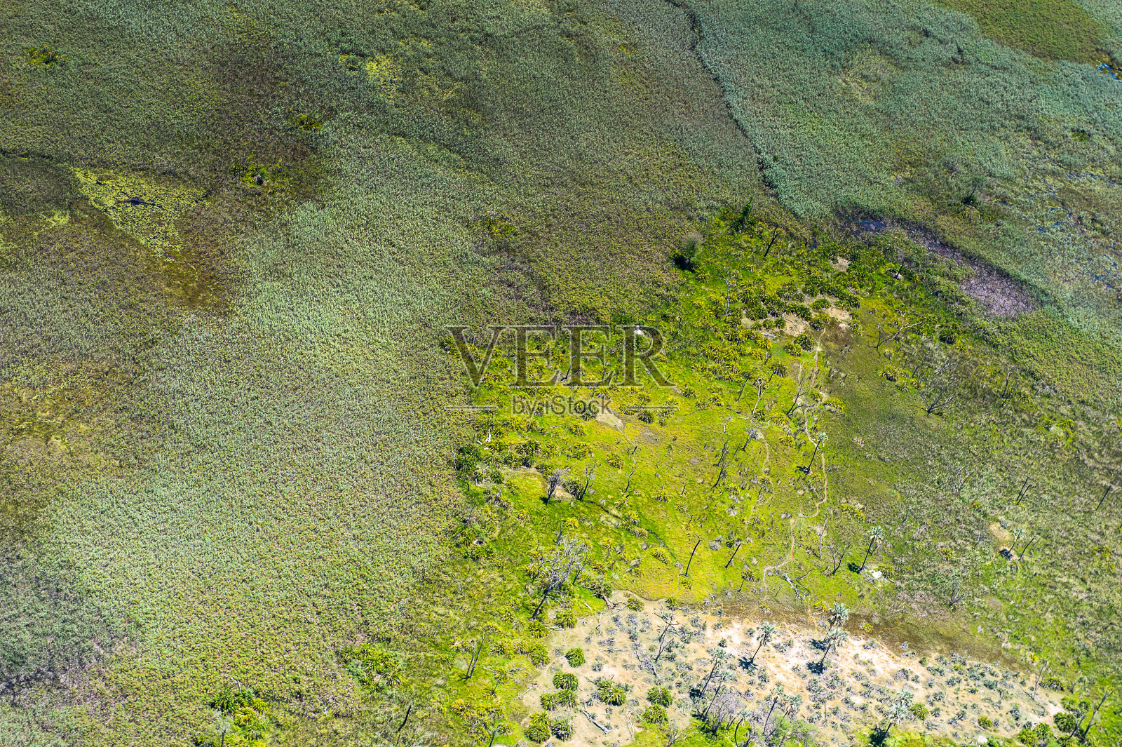 航空全景的奥卡万戈三角洲(奥卡万戈草原)，非洲七大自然奇观之一，博茨瓦纳照片摄影图片