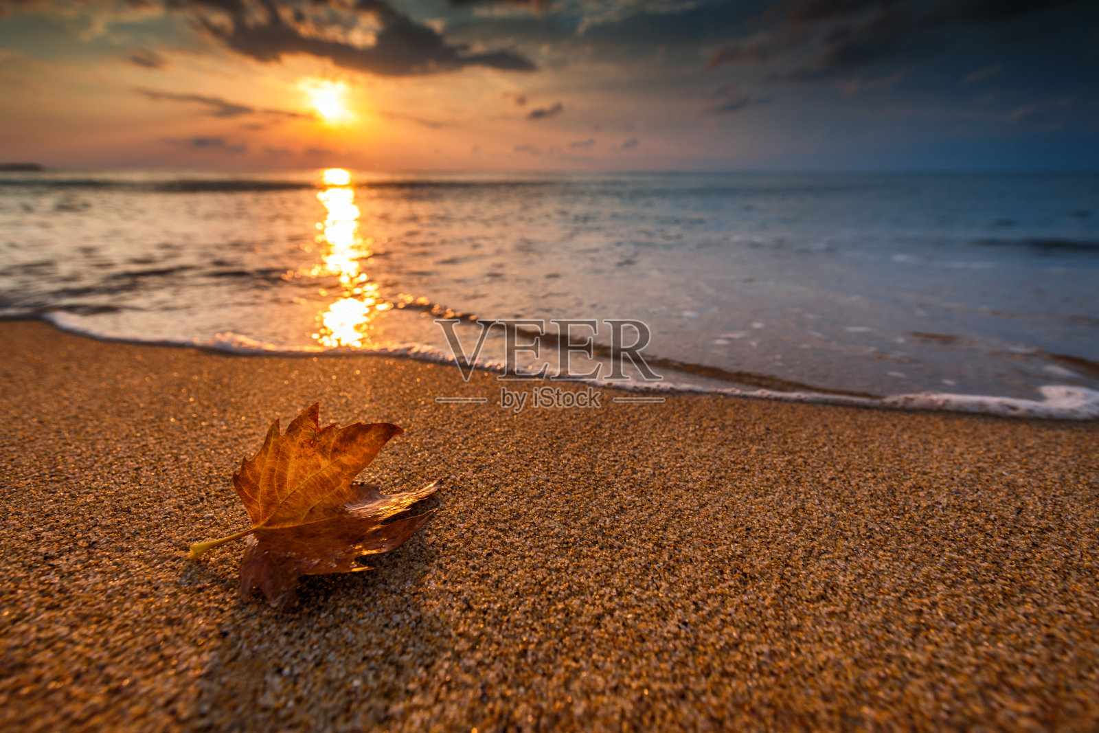 美丽的日出，越过大海和树叶。秋天的概念。照片摄影图片