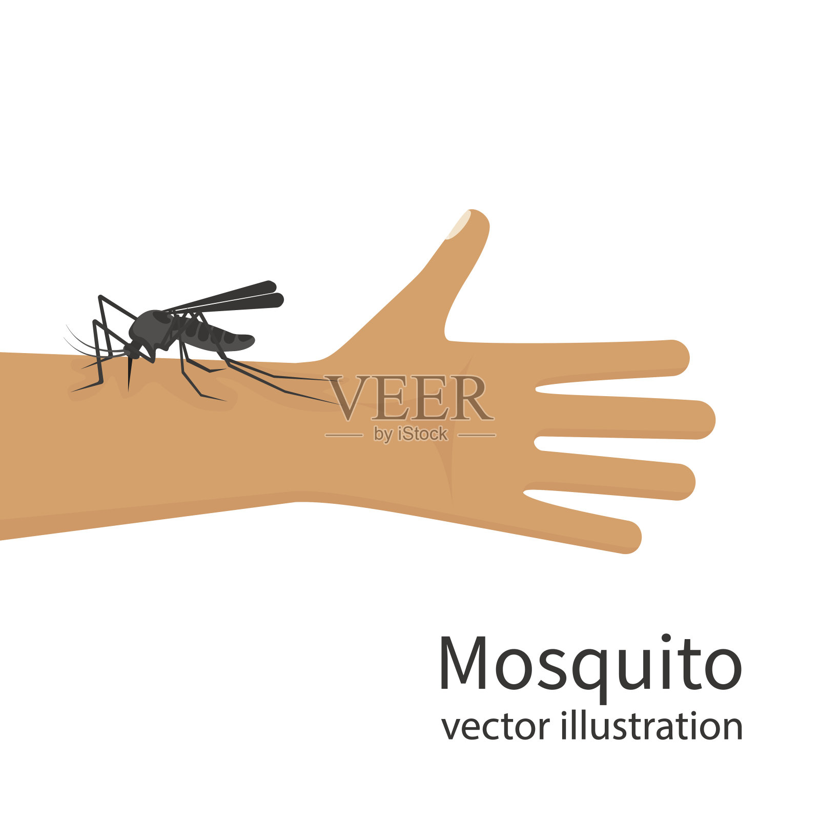 蚊子叮咬皮肤和手人体载体插画图片素材