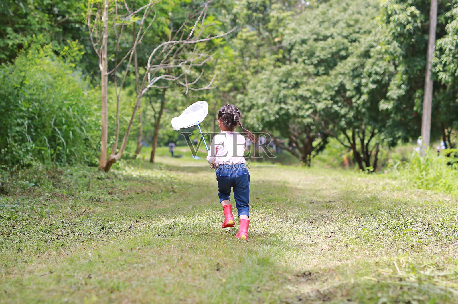 亚洲小女孩在夏天的田野里玩捕虫网，后视图。照片摄影图片