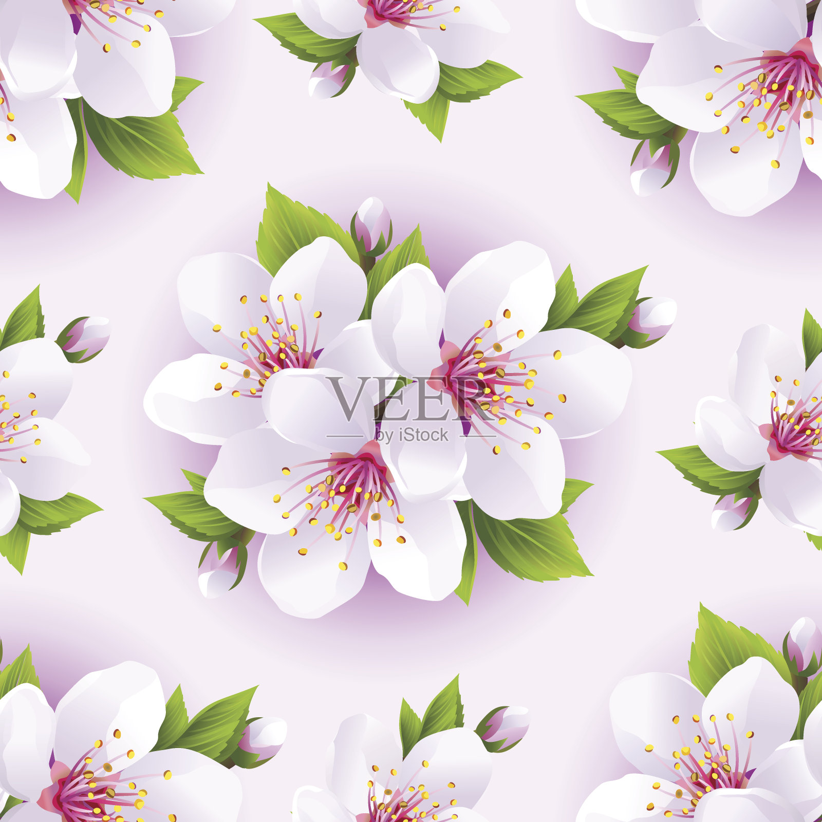 美丽的无缝图案与白色樱花背景图片素材