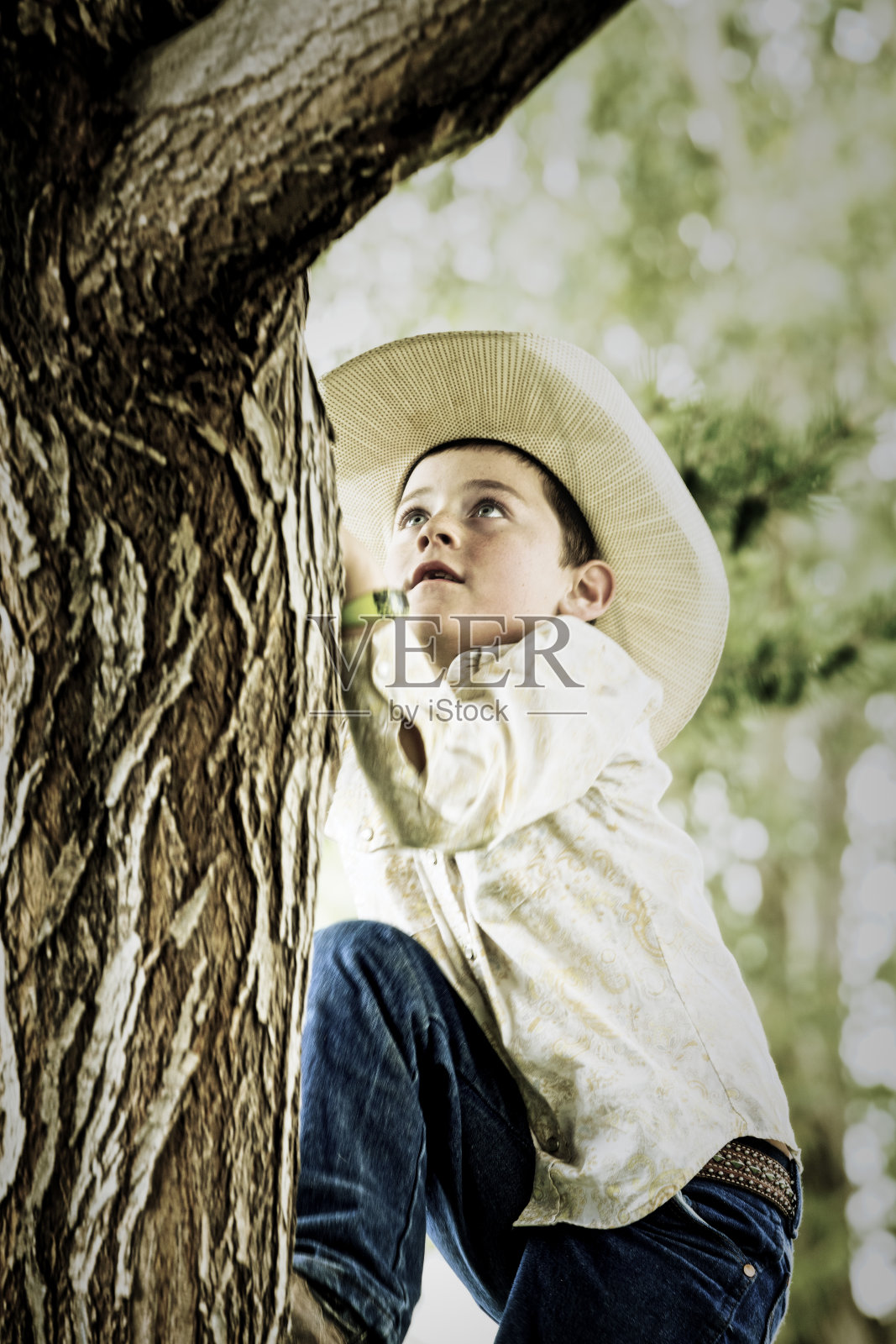 小牛仔开始爬公园里的一棵树照片摄影图片