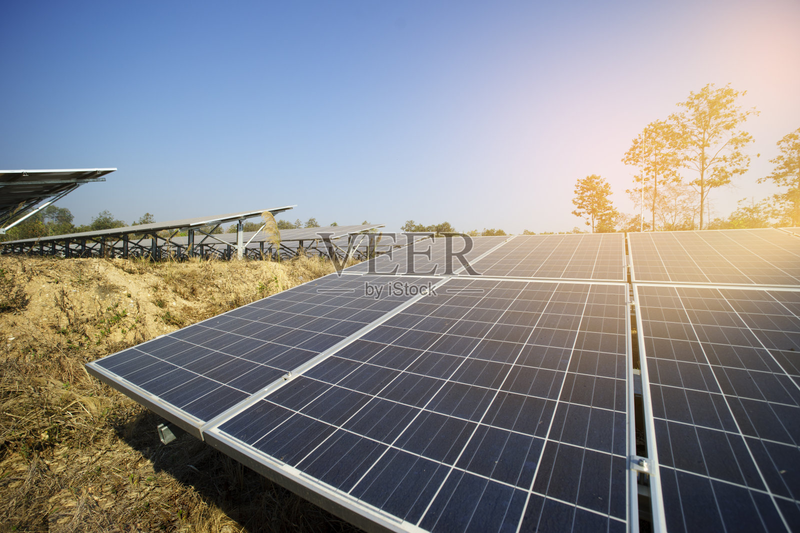 太阳能农场从太阳光中获得绿色能源照片摄影图片