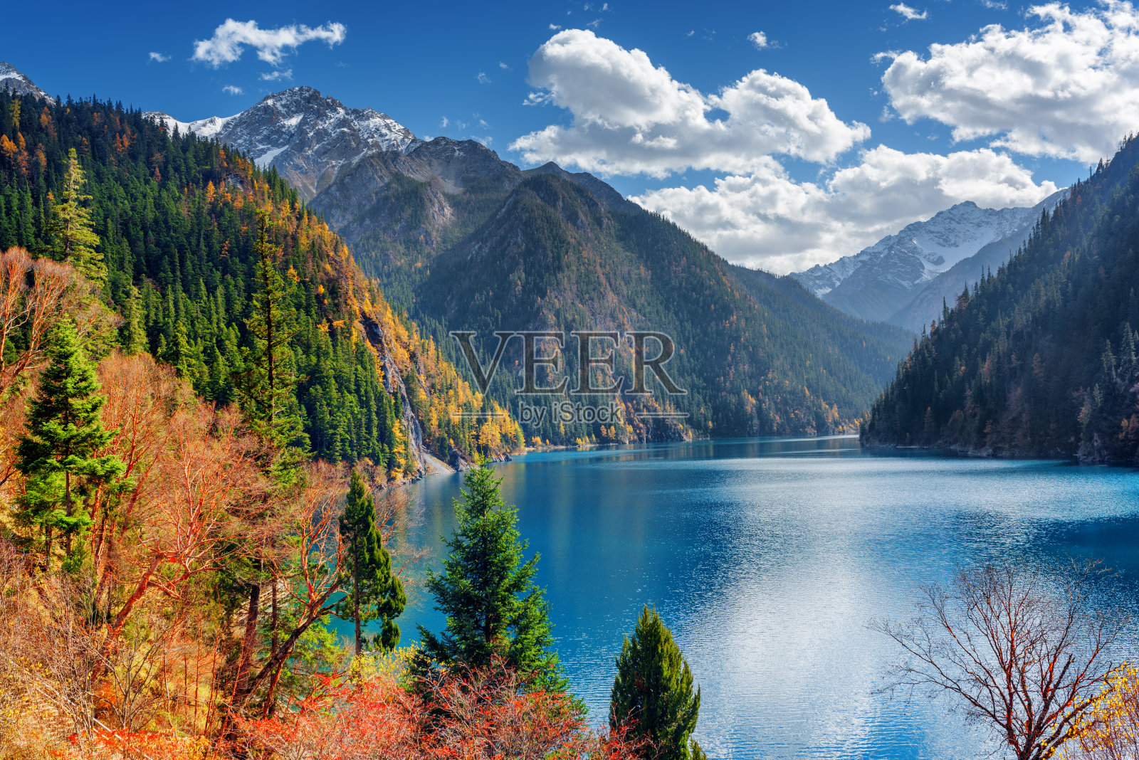 美丽的长湖在五颜六色的秋林照片摄影图片