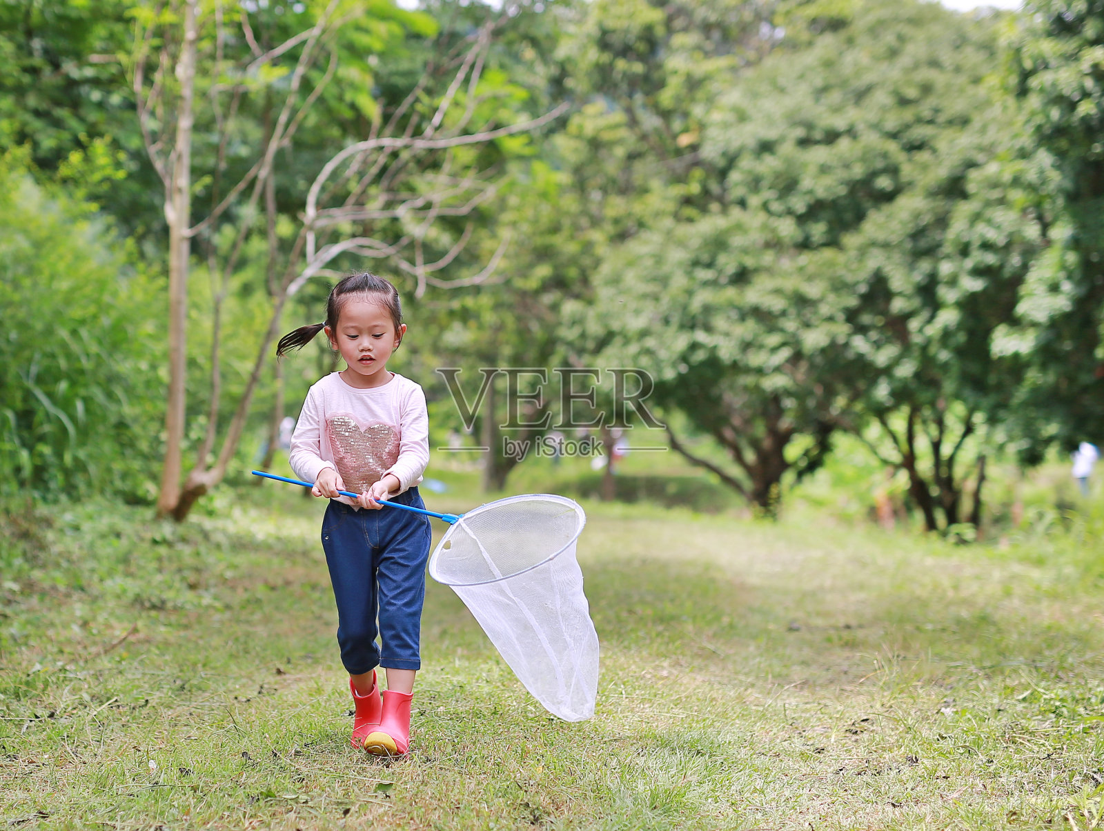 可爱的亚洲小女孩在田野与昆虫网在夏天。照片摄影图片