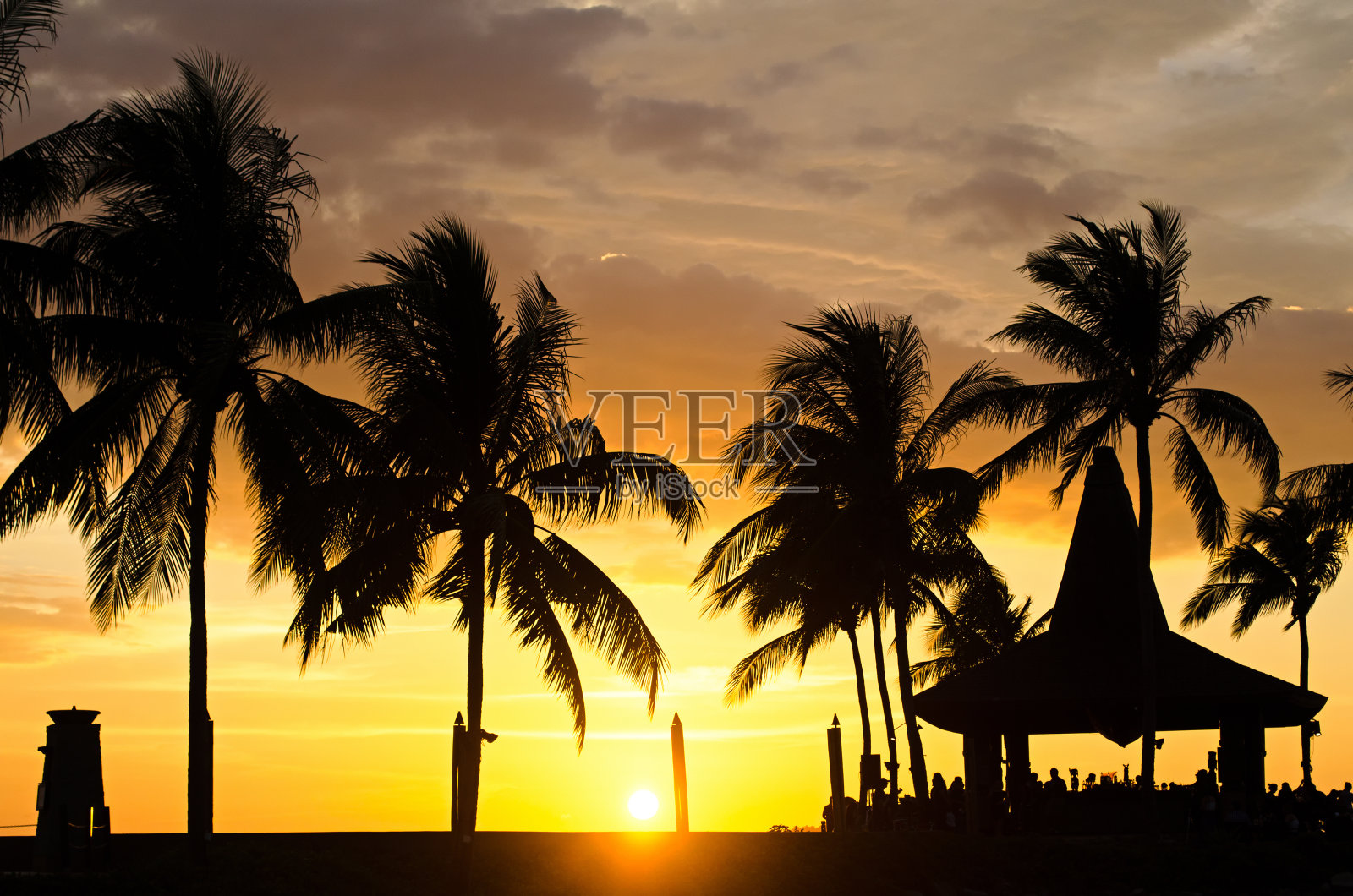 在沙巴婆罗洲的哥打基纳巴卢日落棕榈树的剪影照片摄影图片