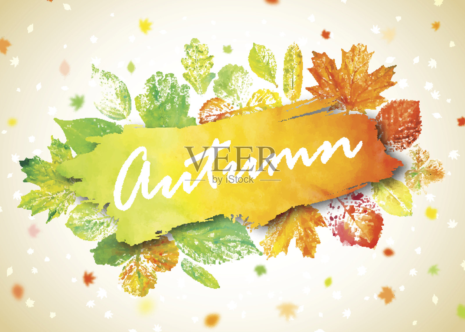 秋天的季节横幅，海报。贺卡文字和手绘水彩秋天的树叶。插画图片素材