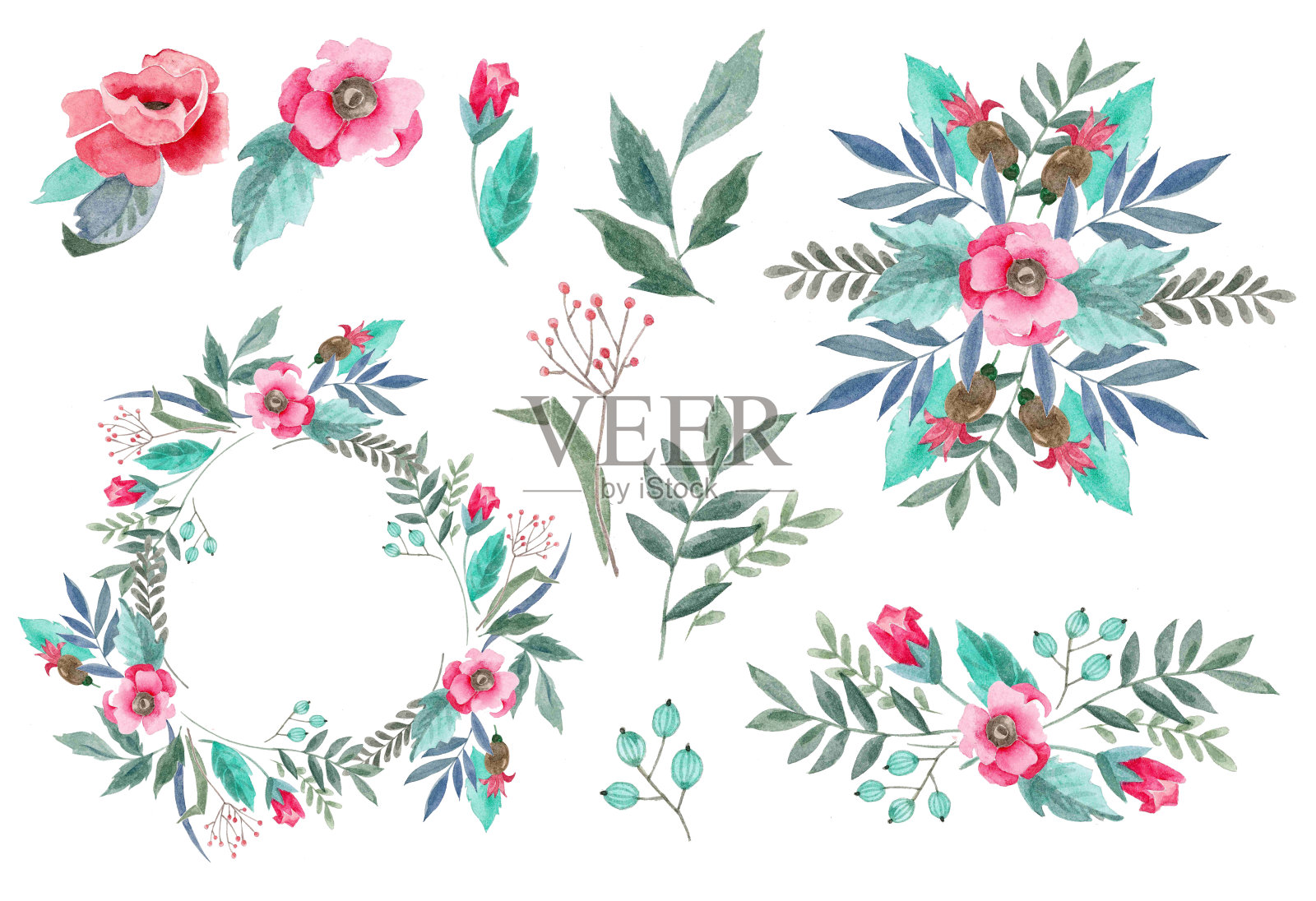 一套水彩植物和花卉，框架和花卉安排插画图片素材