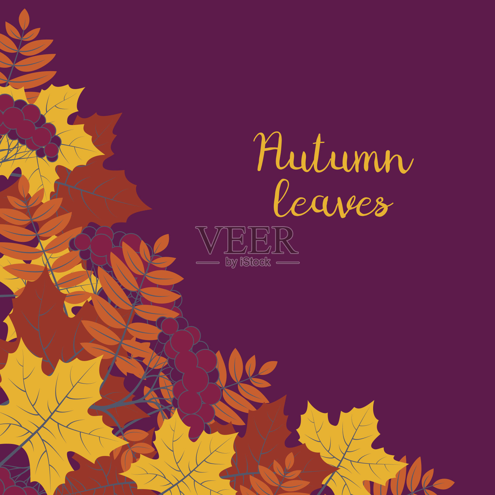 秋季花卉背景与彩色剪影的树叶在紫色的背景，设计元素为秋季横幅，海报，传单或贺卡插画图片素材