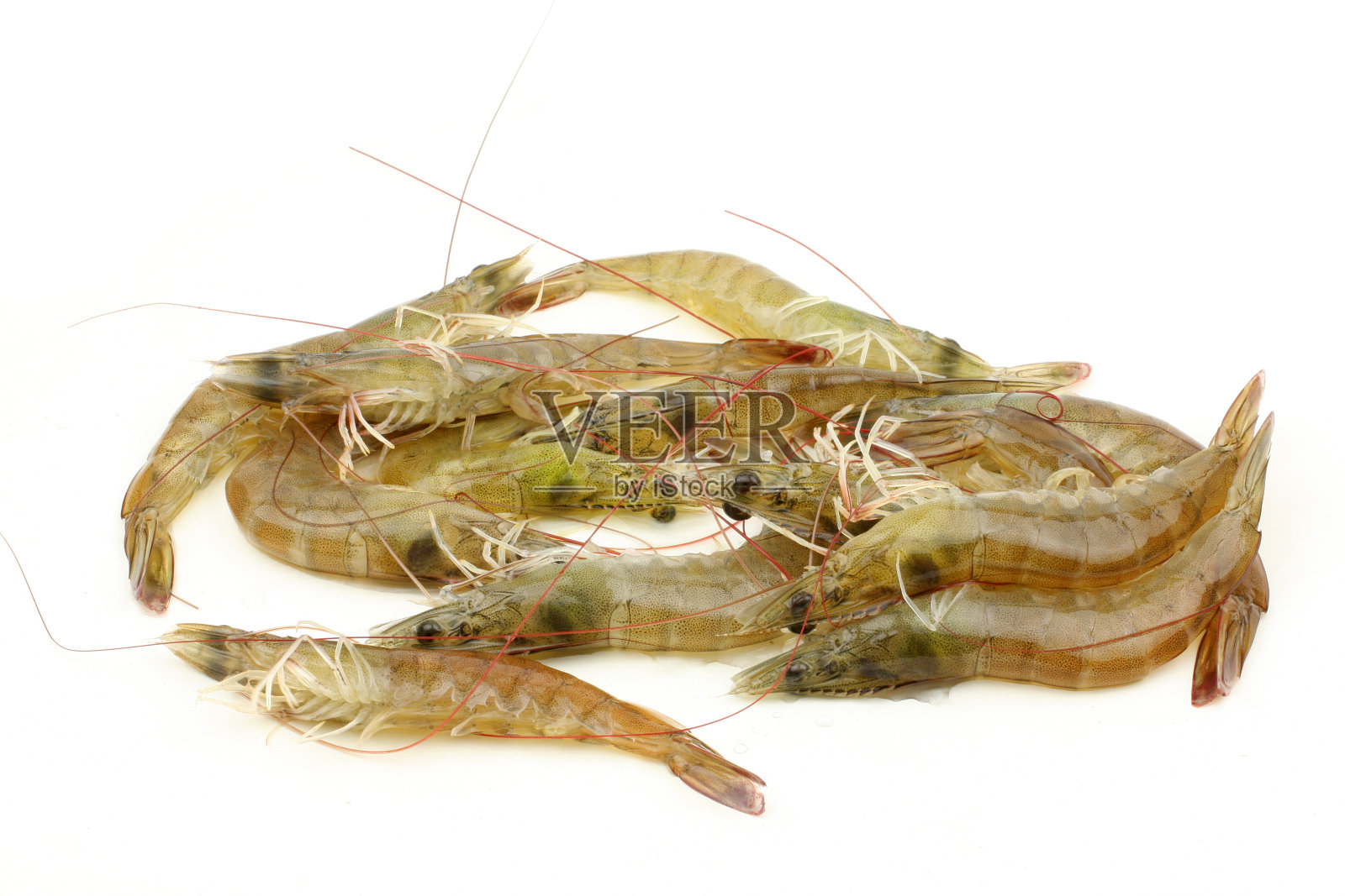 白色背景上的新鲜凡纳米虾照片摄影图片