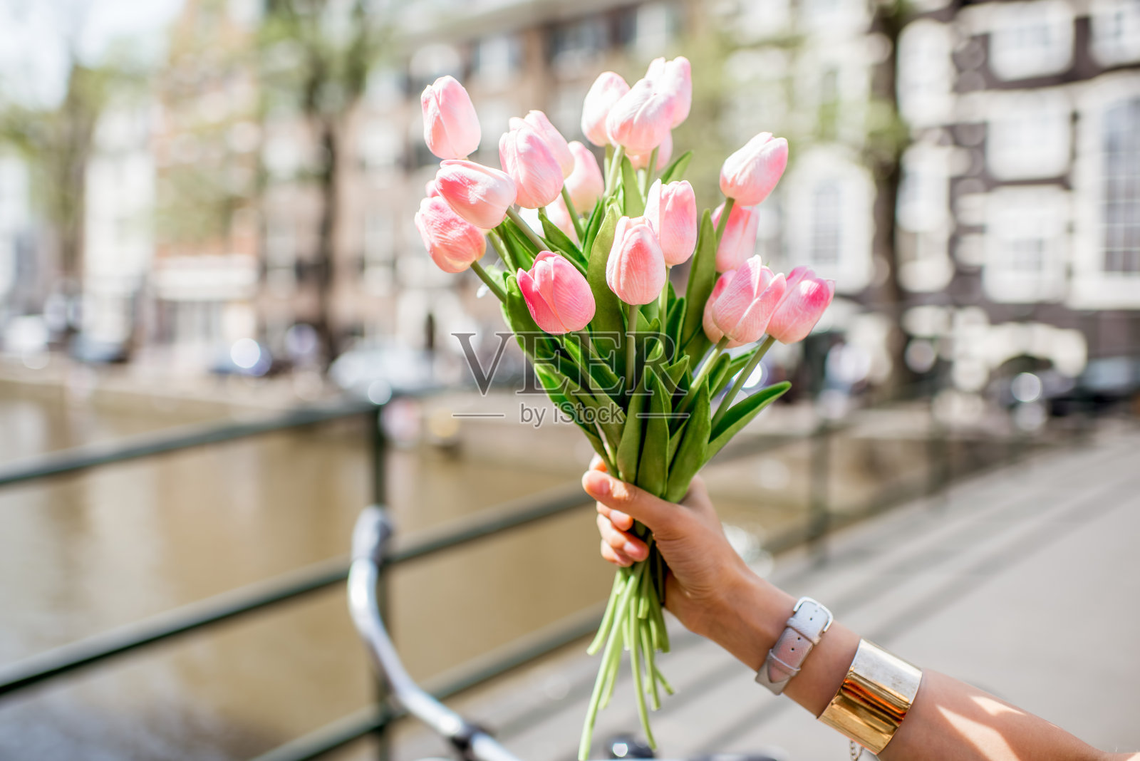在阿姆斯特丹捧着郁金香照片摄影图片