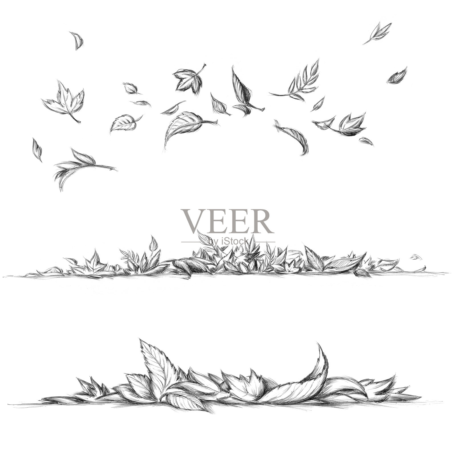 飞舞的和躺着的叶子插画图片素材