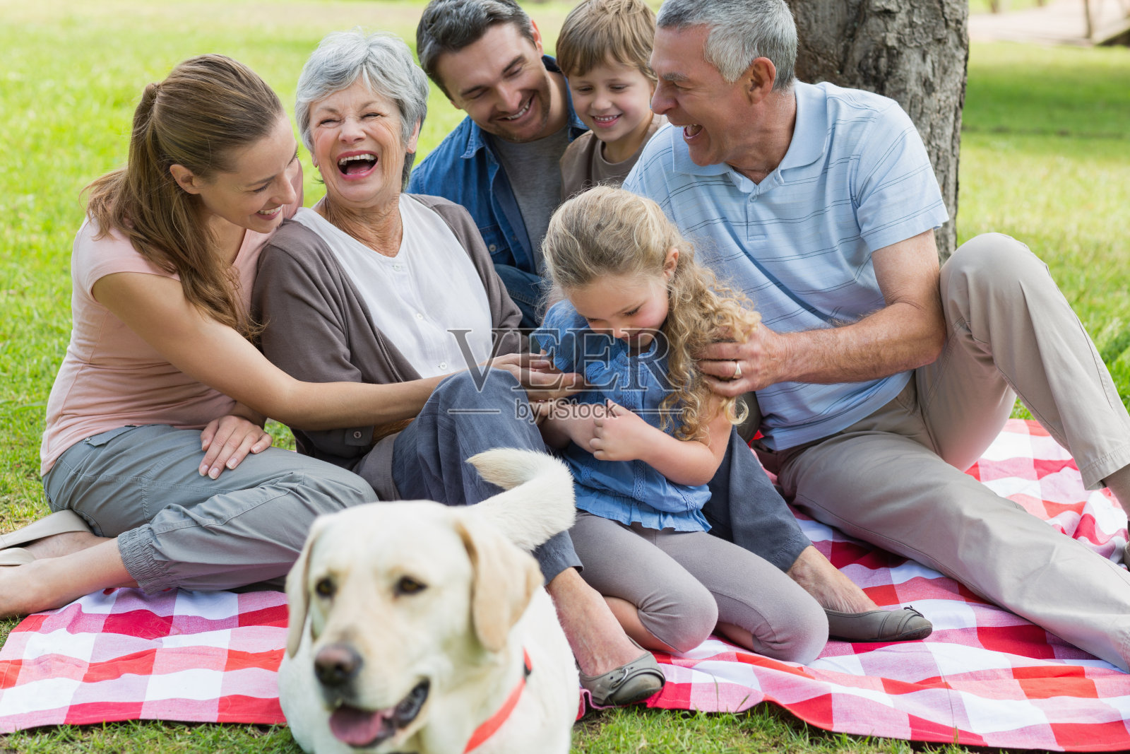 欢乐的大家庭坐在公园野餐毯上照片摄影图片