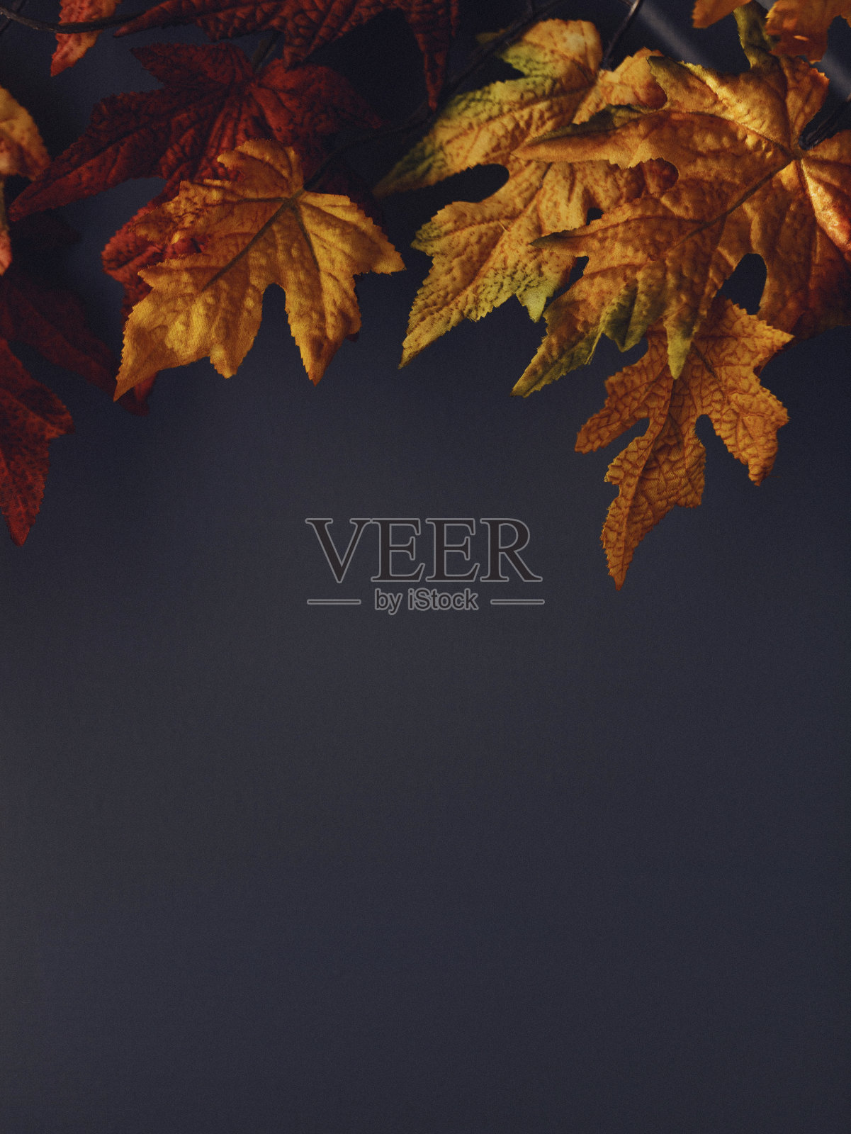 秋天的背景与红色枫叶和灰色的背景照片摄影图片