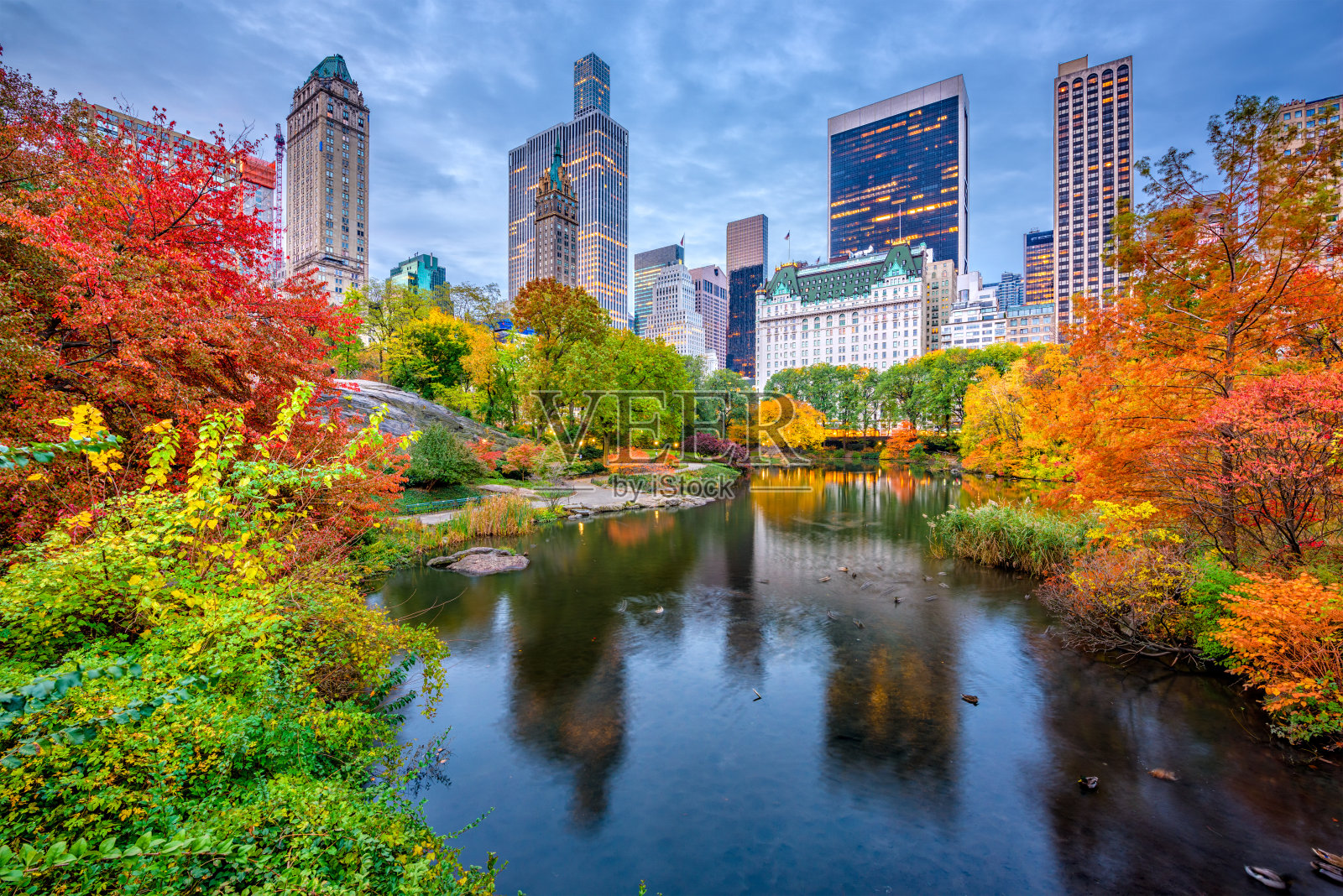 中央公园的秋天照片摄影图片