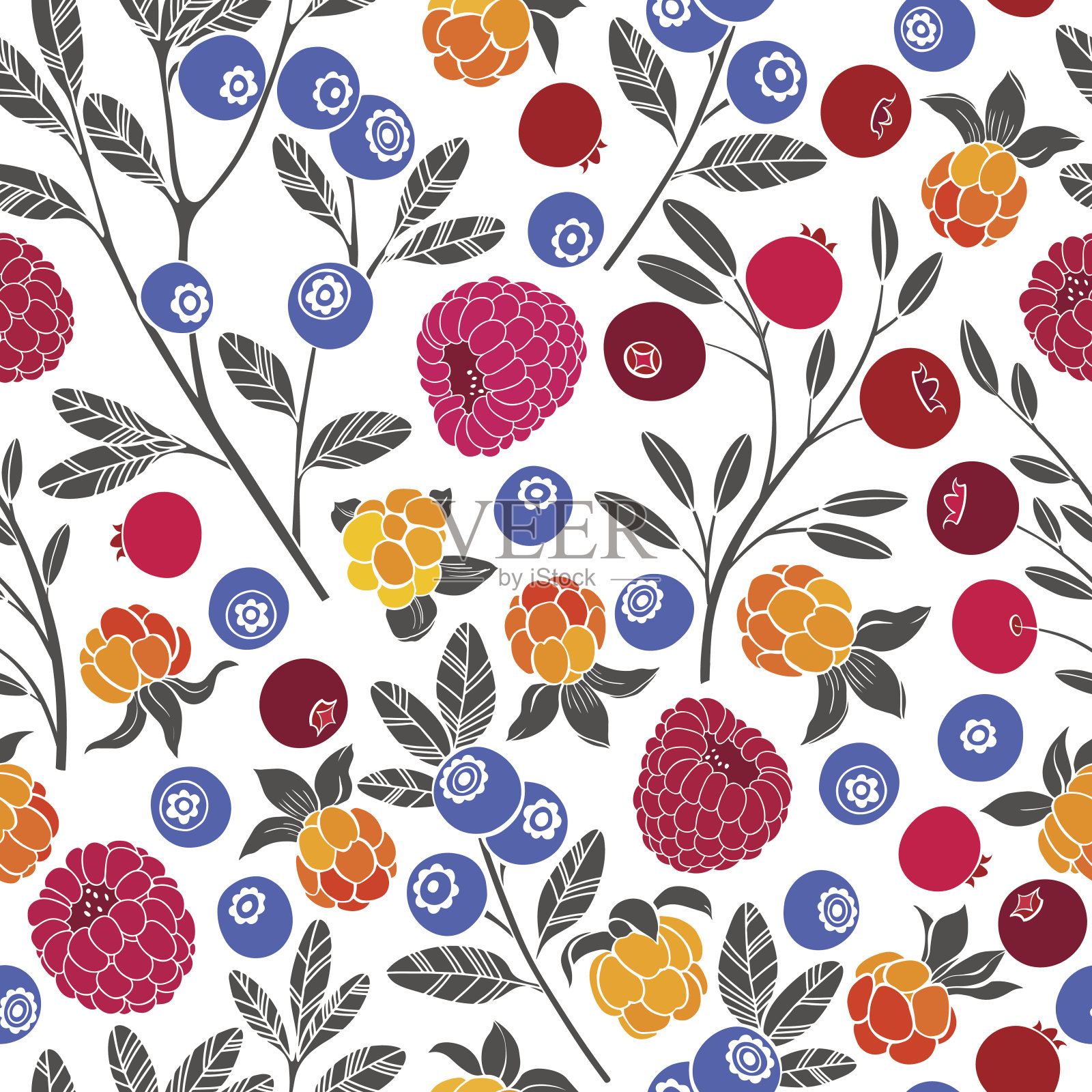 无缝矢量模式与蔓越莓，蓝莓，覆盆子和云莓在白色的背景。森林浆果。插画图片素材