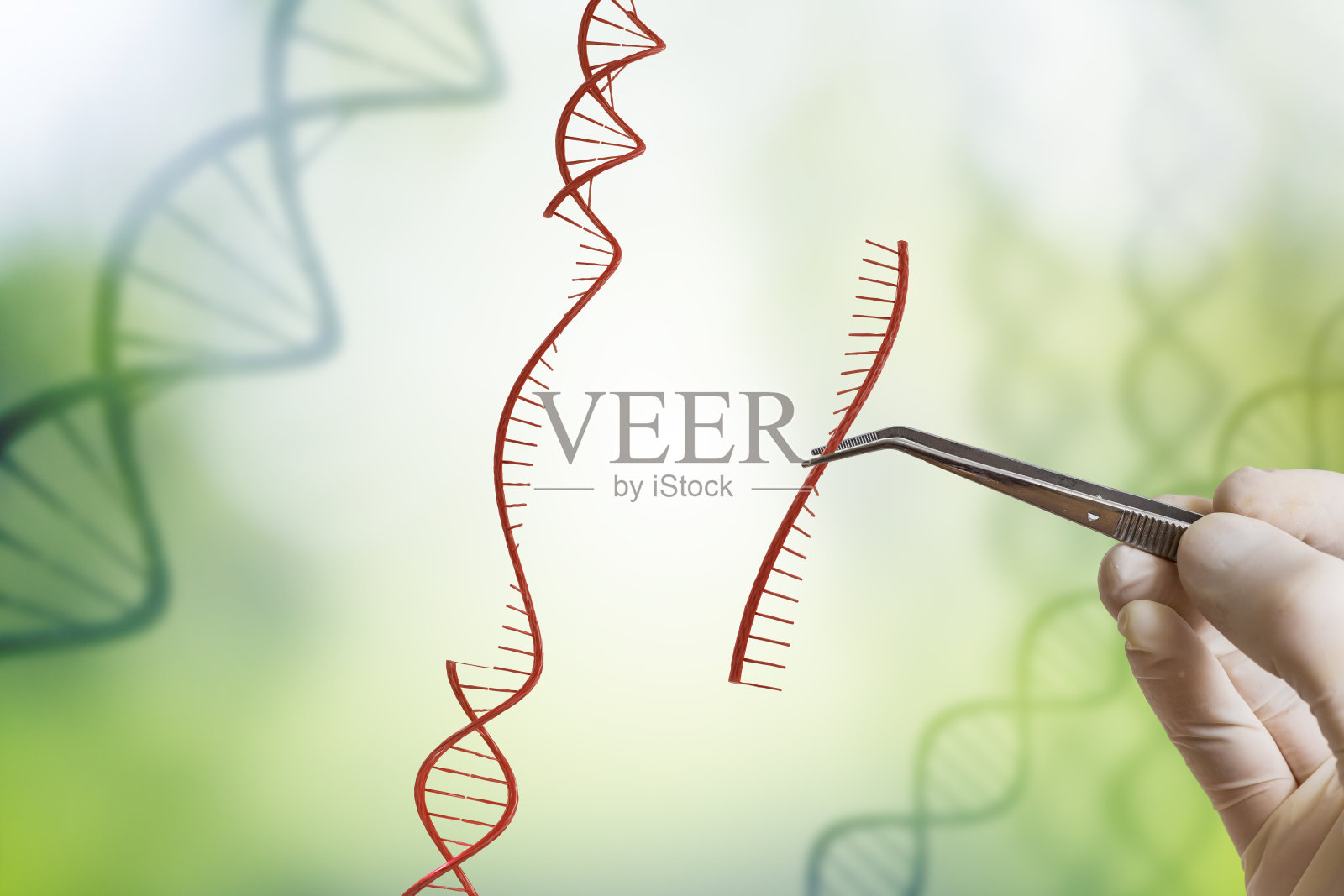 手正在插入DNA序列。基因工程，转基因和基因操作概念。照片摄影图片