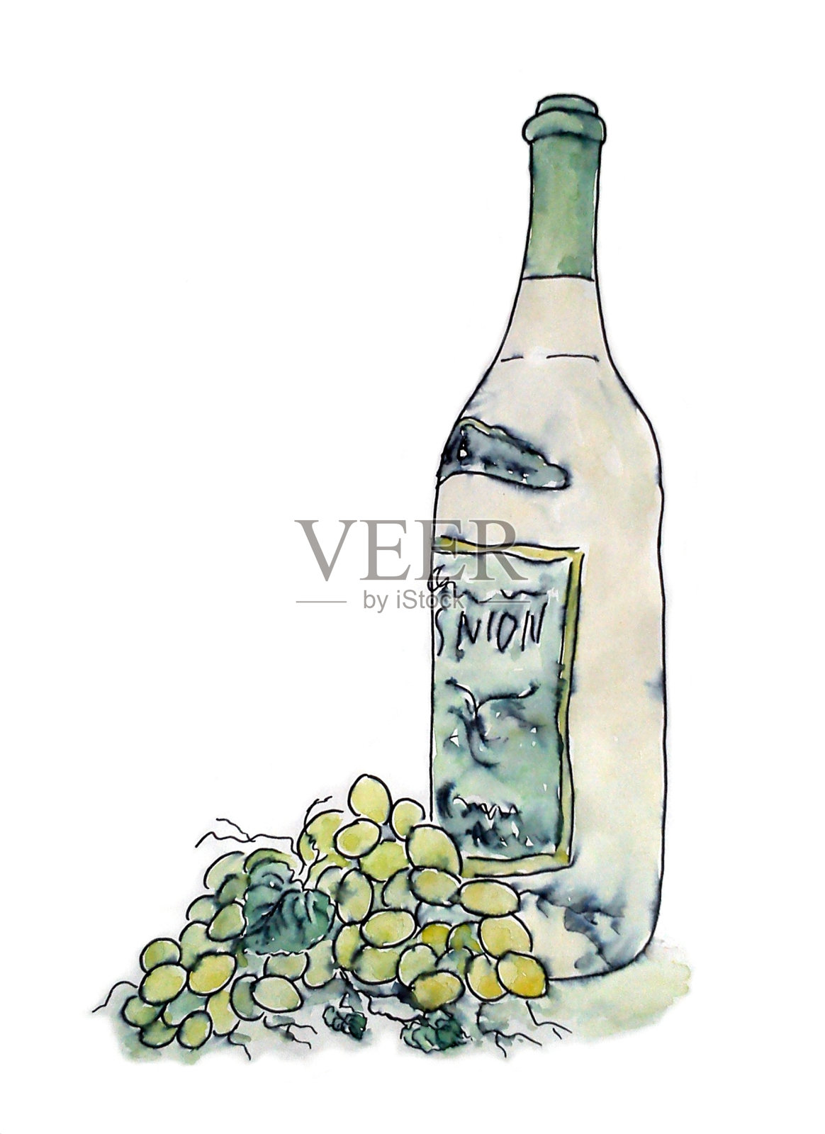 水彩插图与一瓶葡萄酒和一串葡萄孤立在白色的背景插画图片素材