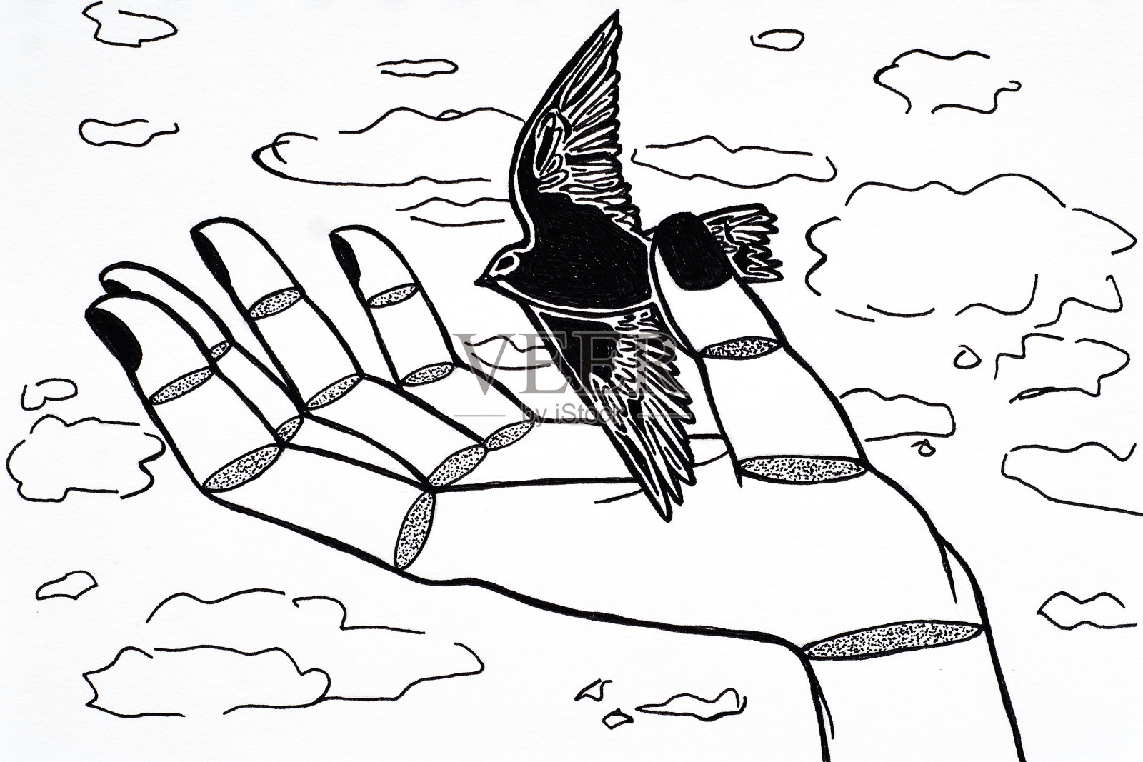 手中的鸟插画图片素材
