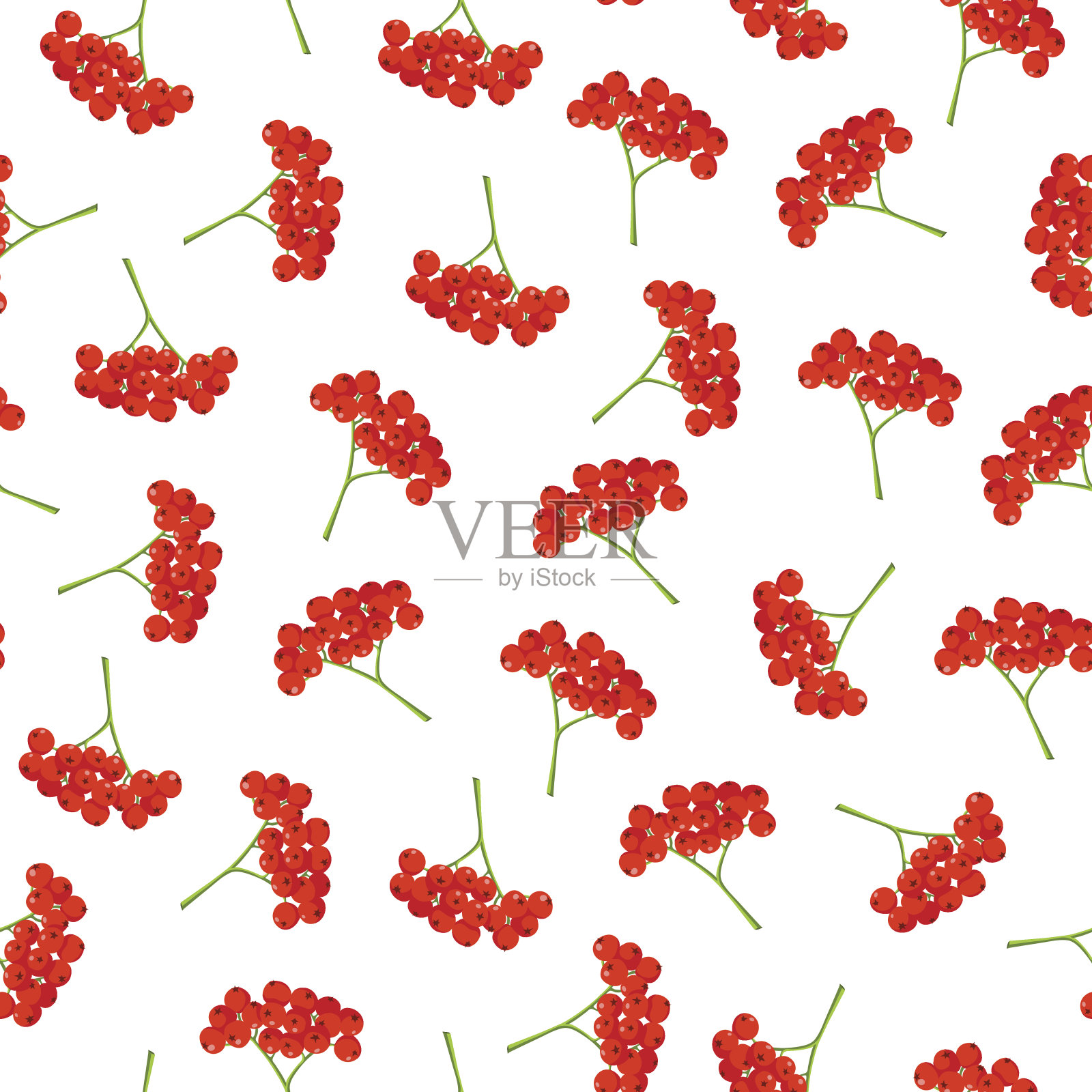 无缝矢量秋季图案与红浆果。优雅的花无缝图案。向量罗文浆果。插画图片素材