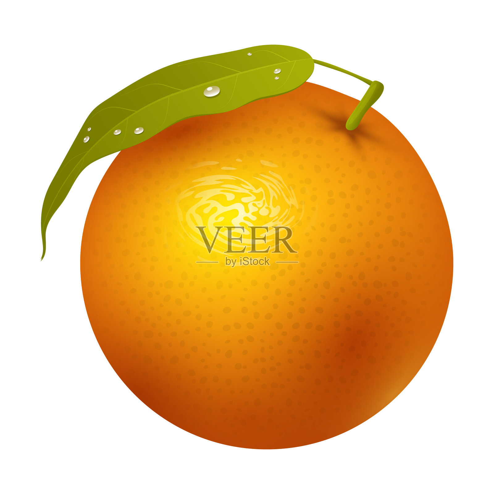 成熟的橙子水果3d柑橘甜食物现实的有机矢量插图设计元素图片