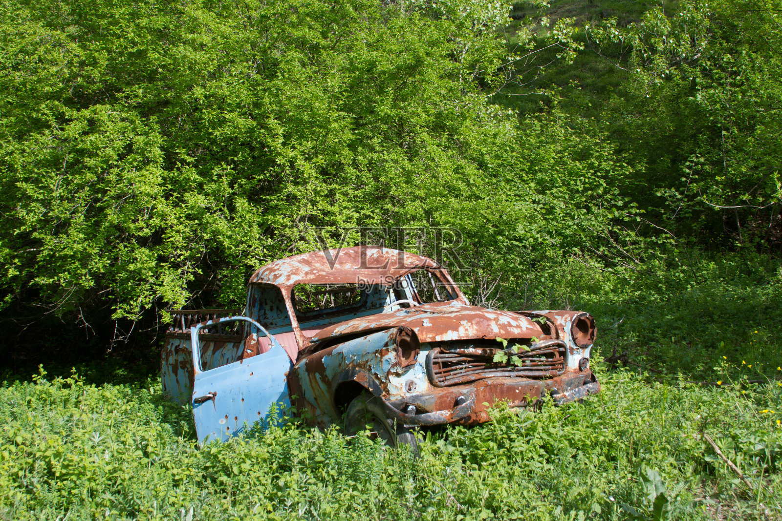 花园里的一辆生锈的旧车照片摄影图片