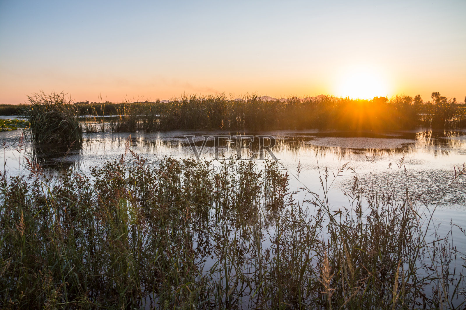 秋天的湿地照片摄影图片