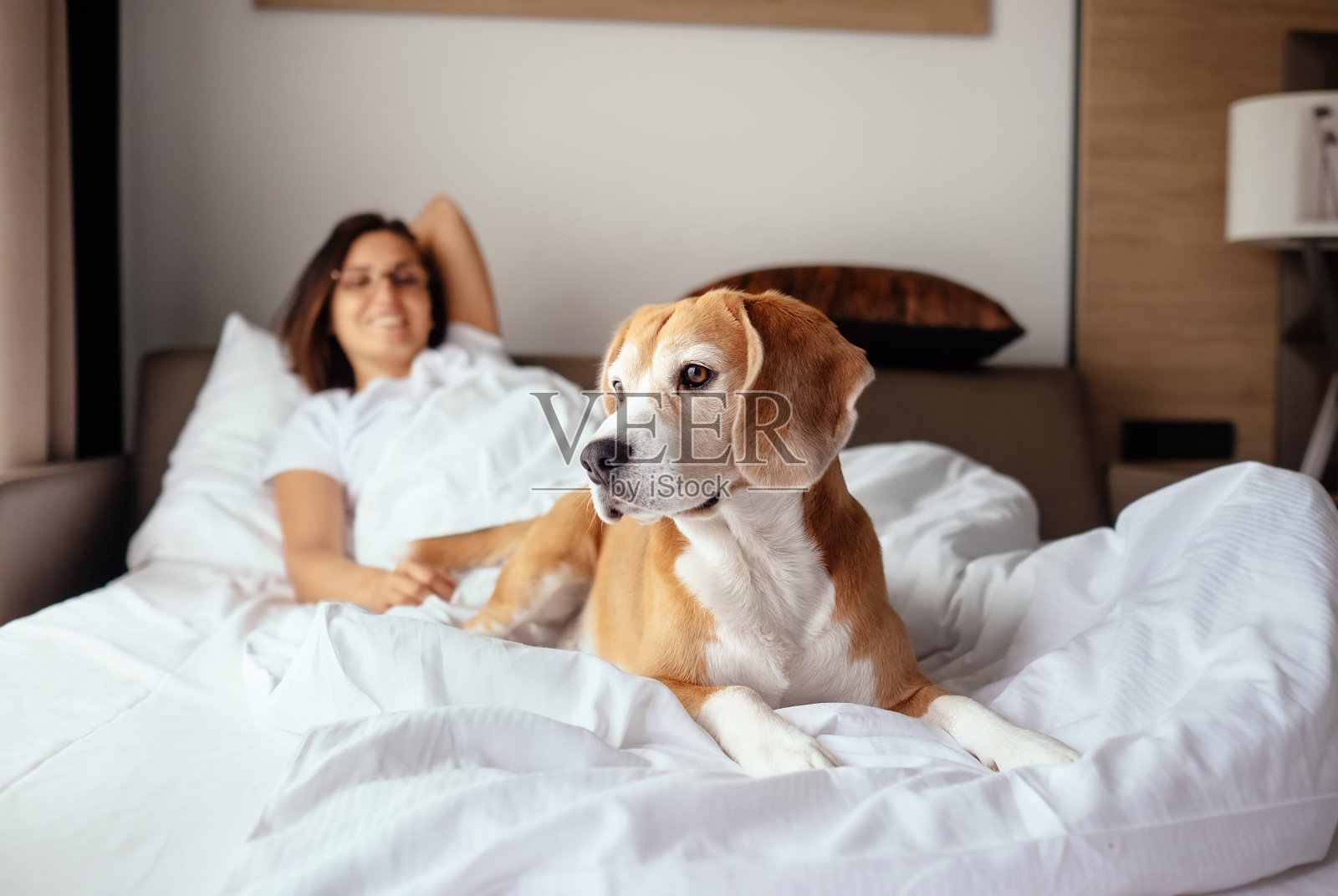 一个女人和她的小猎犬早晨在床上相遇照片摄影图片