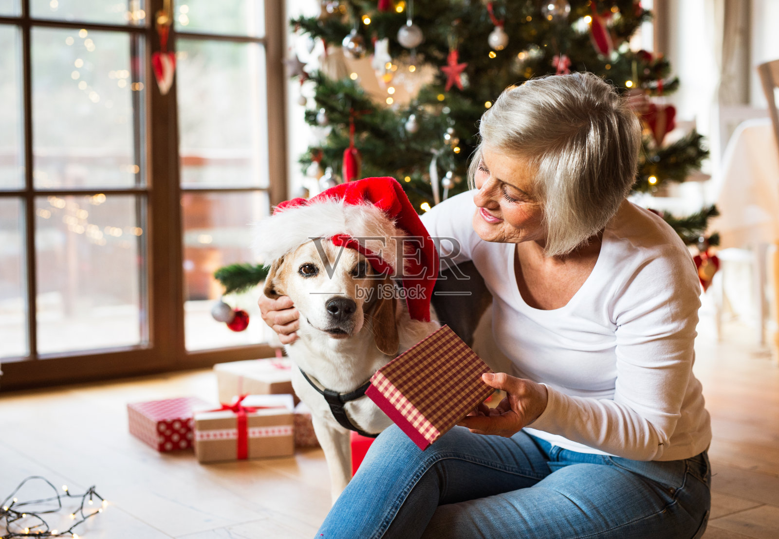 年长的女人和她的狗打开圣诞礼物。照片摄影图片